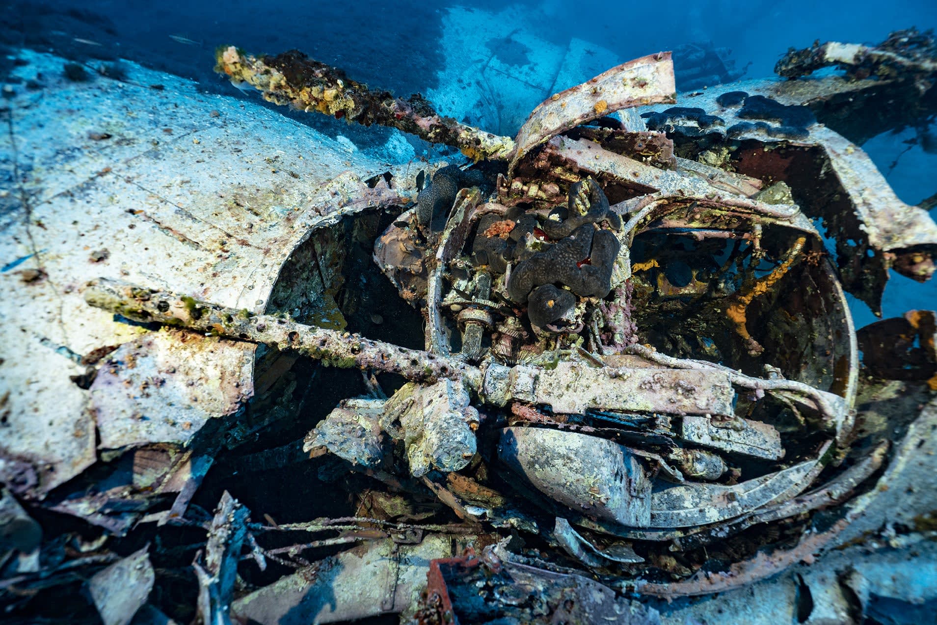 Explore and experience underwater archeological sites undeterred by the physical barrier of the sea(圖9)