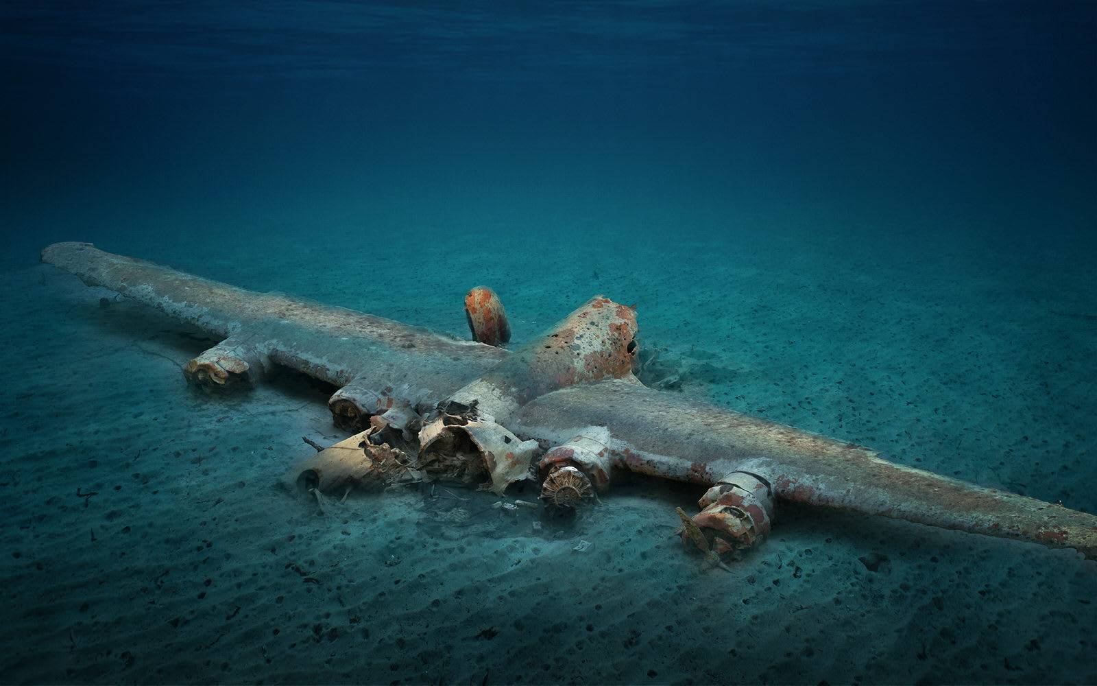 Explore and experience underwater archeological sites undeterred by the physical barrier of the sea(圖1)