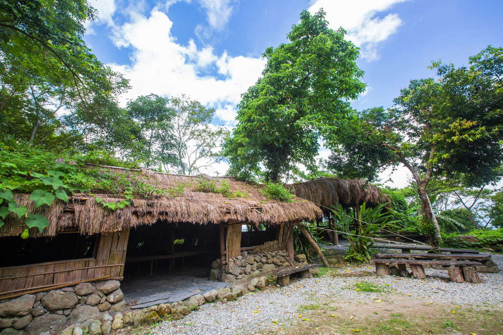 Sazasa open air museum, preserving the last Banyan tree forest and its wisdom in Taiwan, featuring the “Walking Tree”(圖4)