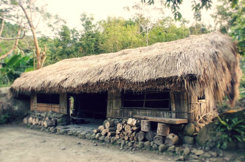 Sazasa open air museum, preserving the last Banyan tree forest and its wisdom in Taiwan, featuring the “Walking Tree”(圖10)