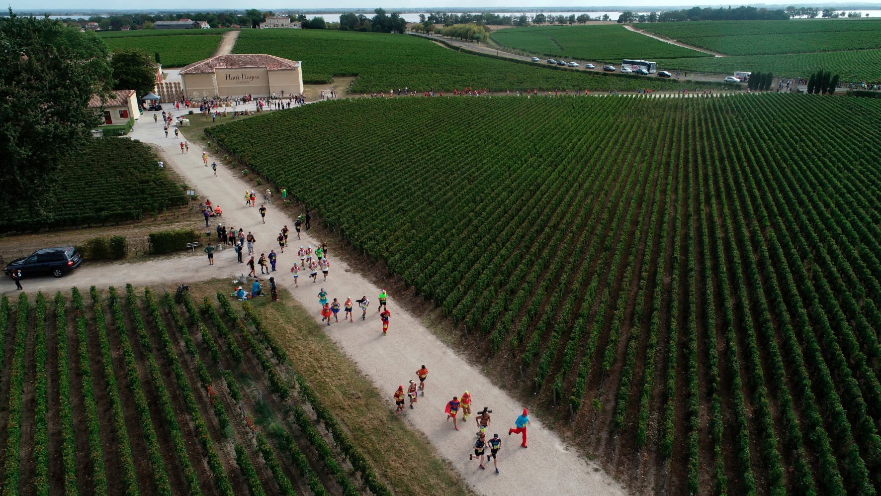 Running the world’s longest drinking race, Marathon du Médoc(圖9)