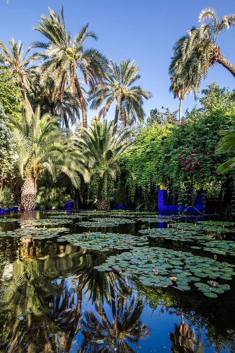 The Jardin Majorelle, oasis in the heart of Marrakech(圖3)