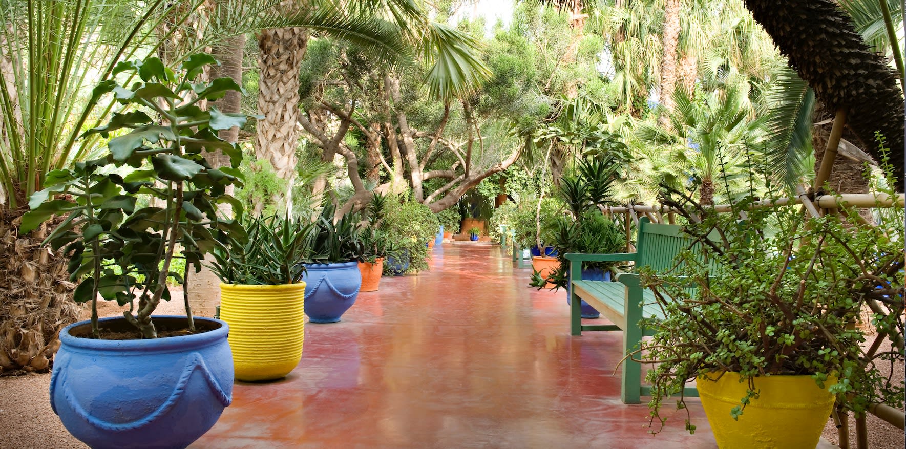 The Jardin Majorelle, oasis in the heart of Marrakech(圖4)