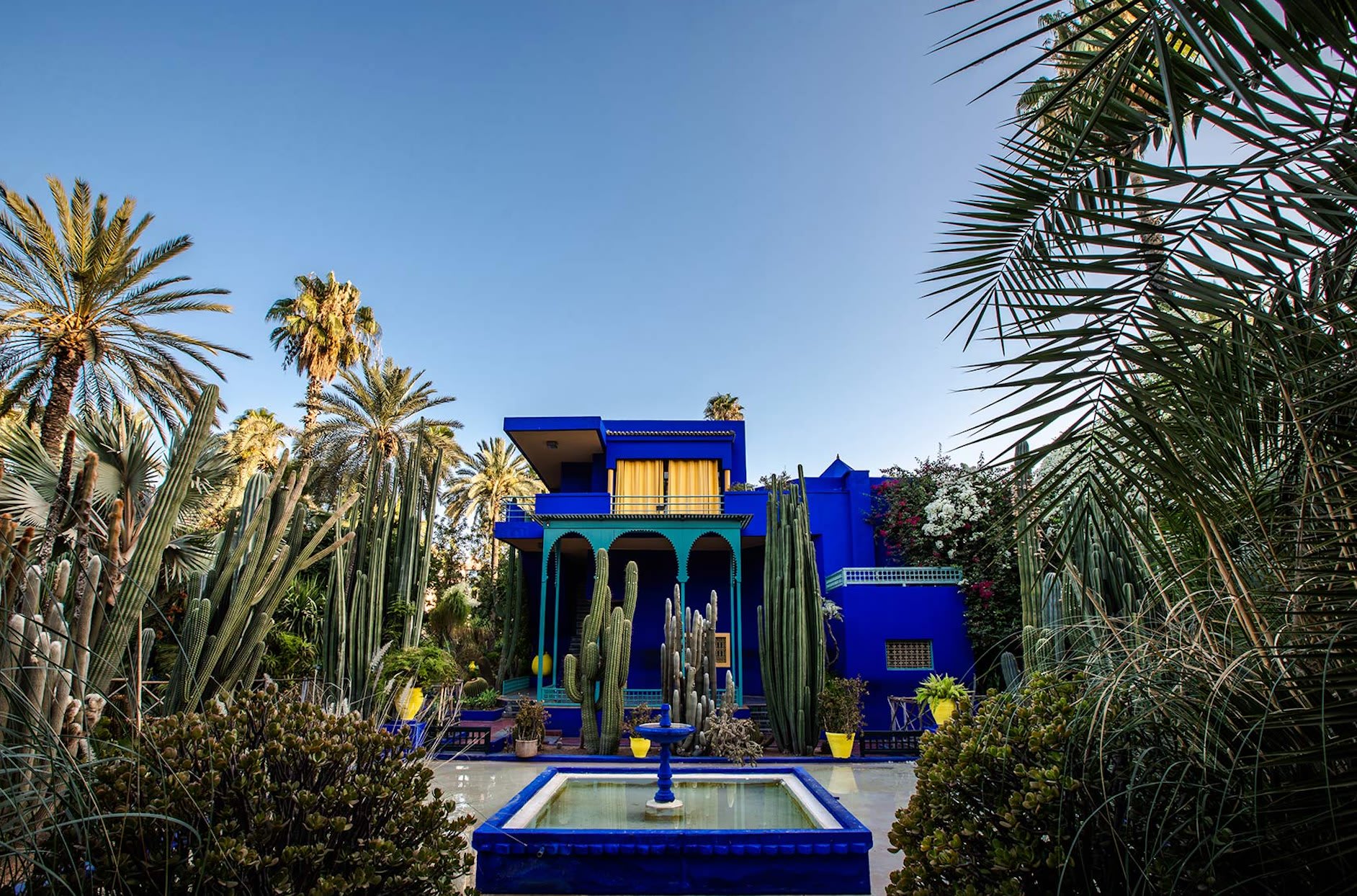 The Jardin Majorelle, oasis in the heart of Marrakech(圖1)