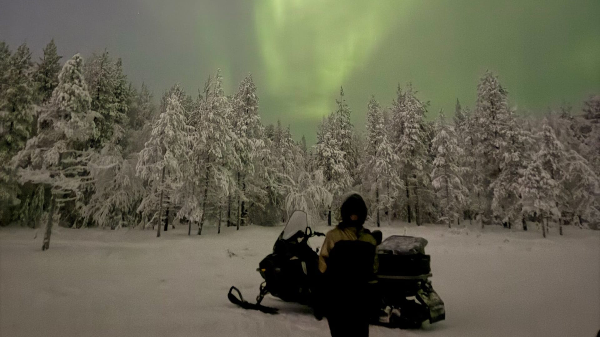 Finnland, Seenlandschaft und dichte Wälder