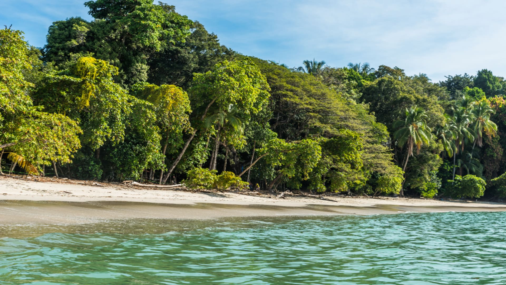 Costa Rica, Regenwald mit Nebelwald und Vulkanlandschaft