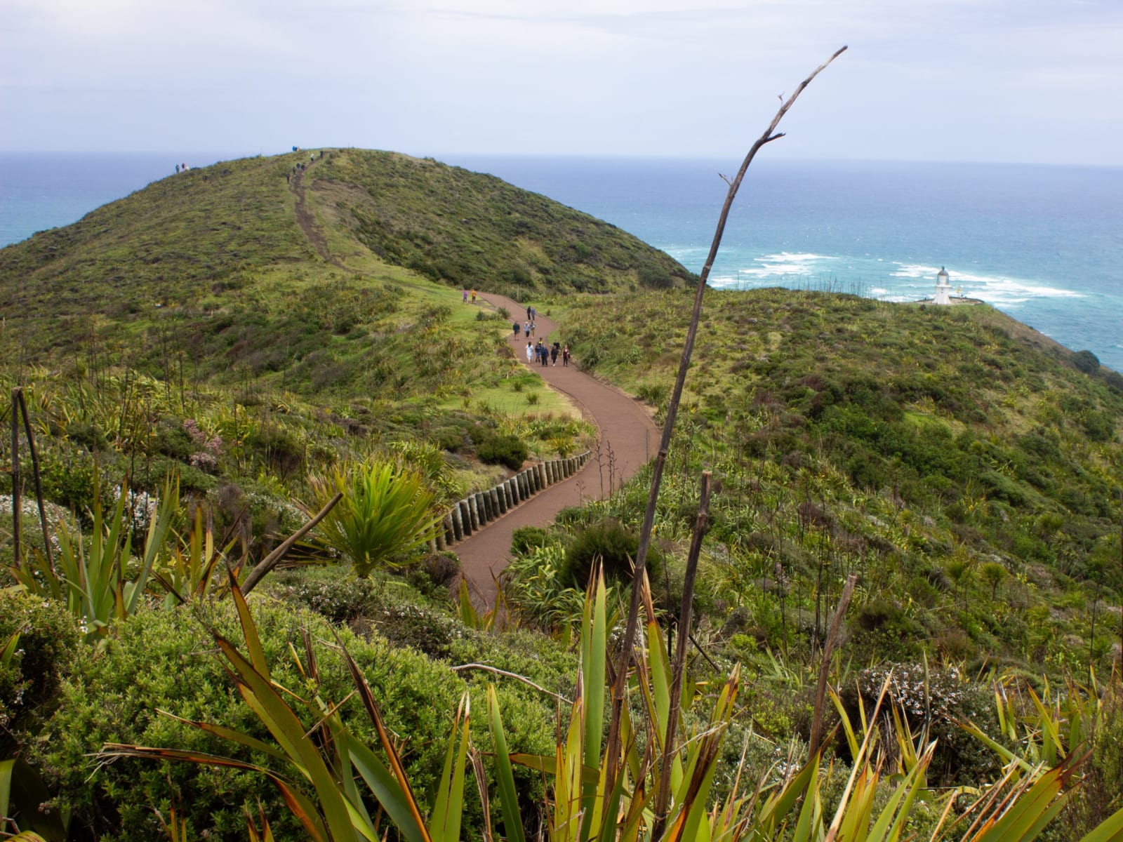 Cape Reinga, Neuseeland