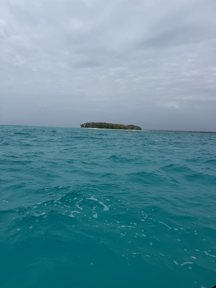 Mnemba Island