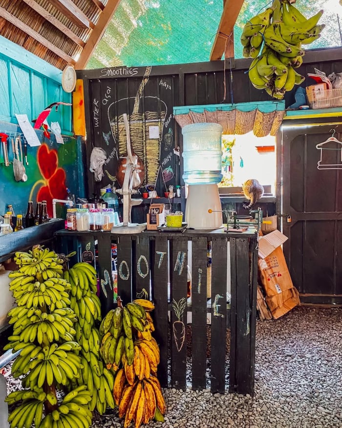 Kleiner Laden mit gesunden Snacks in Puerto Viejo