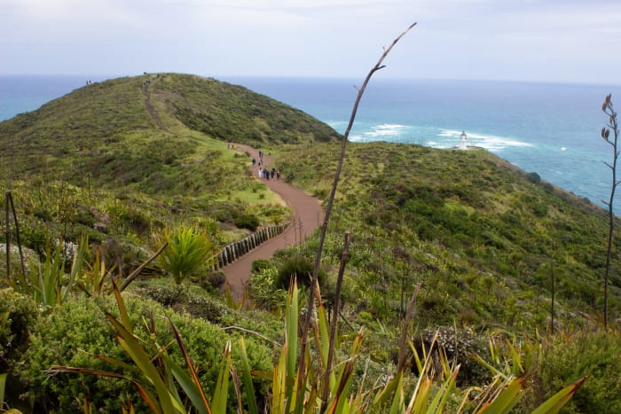 Cape Reinga Lighthouse an der Nordspitze