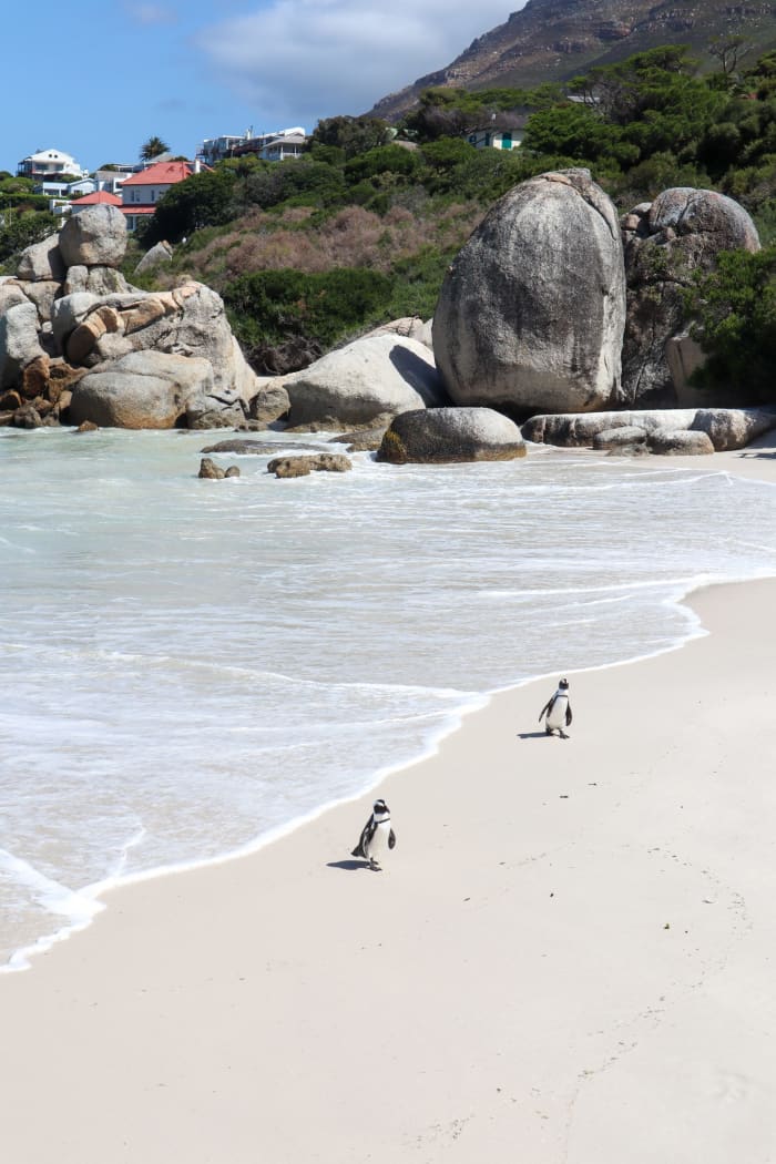 Boulders Beach, Kapstadt