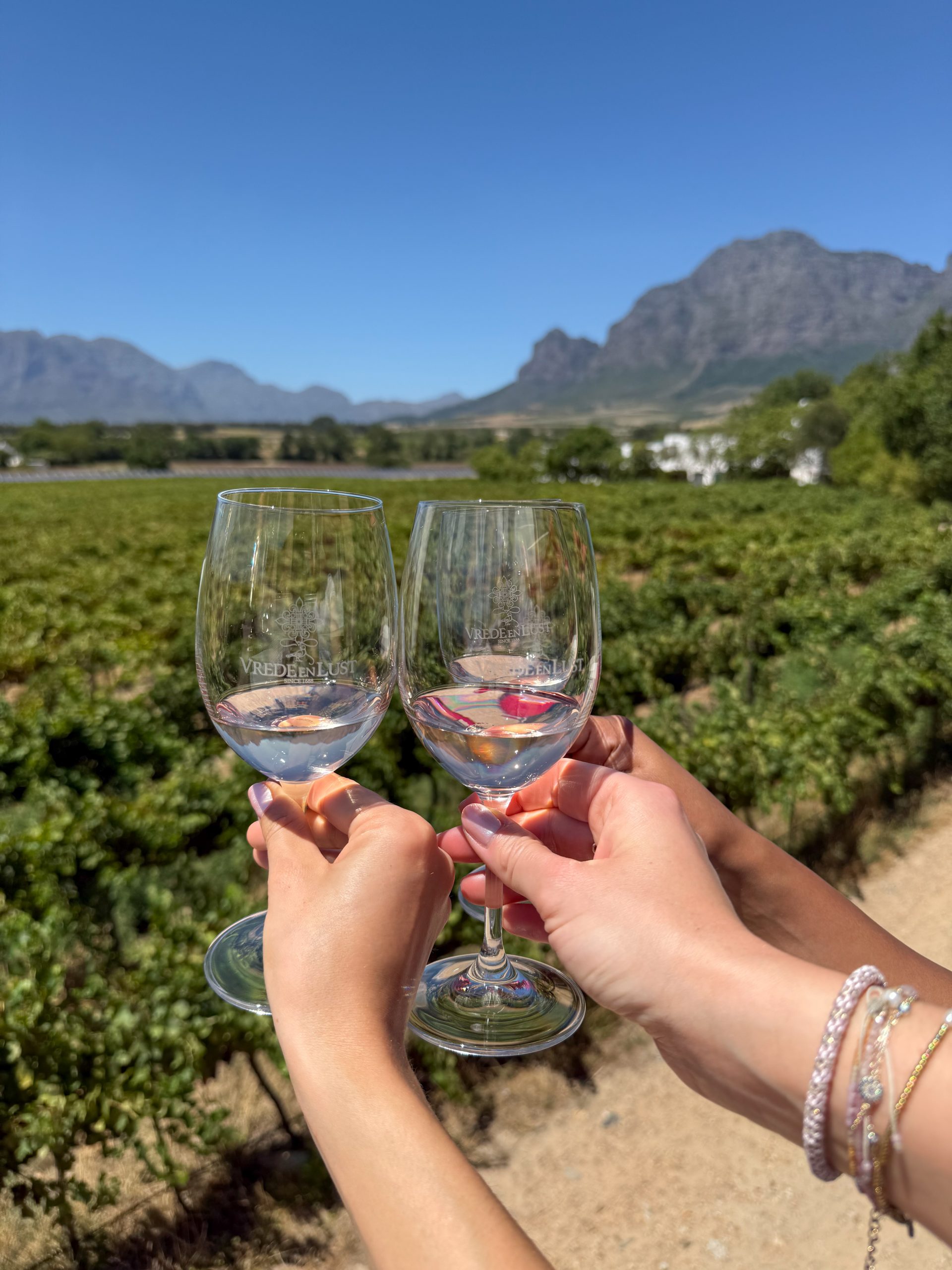 Weinverkostung bei Vrede en Lust Weingut in Franschhoek, Südafrika, mit Blick auf Weinberge und Berge
