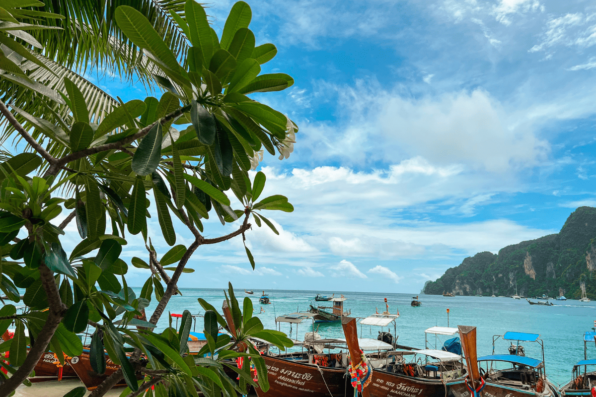 Koh Phi Phi, Blick auf den Hafen