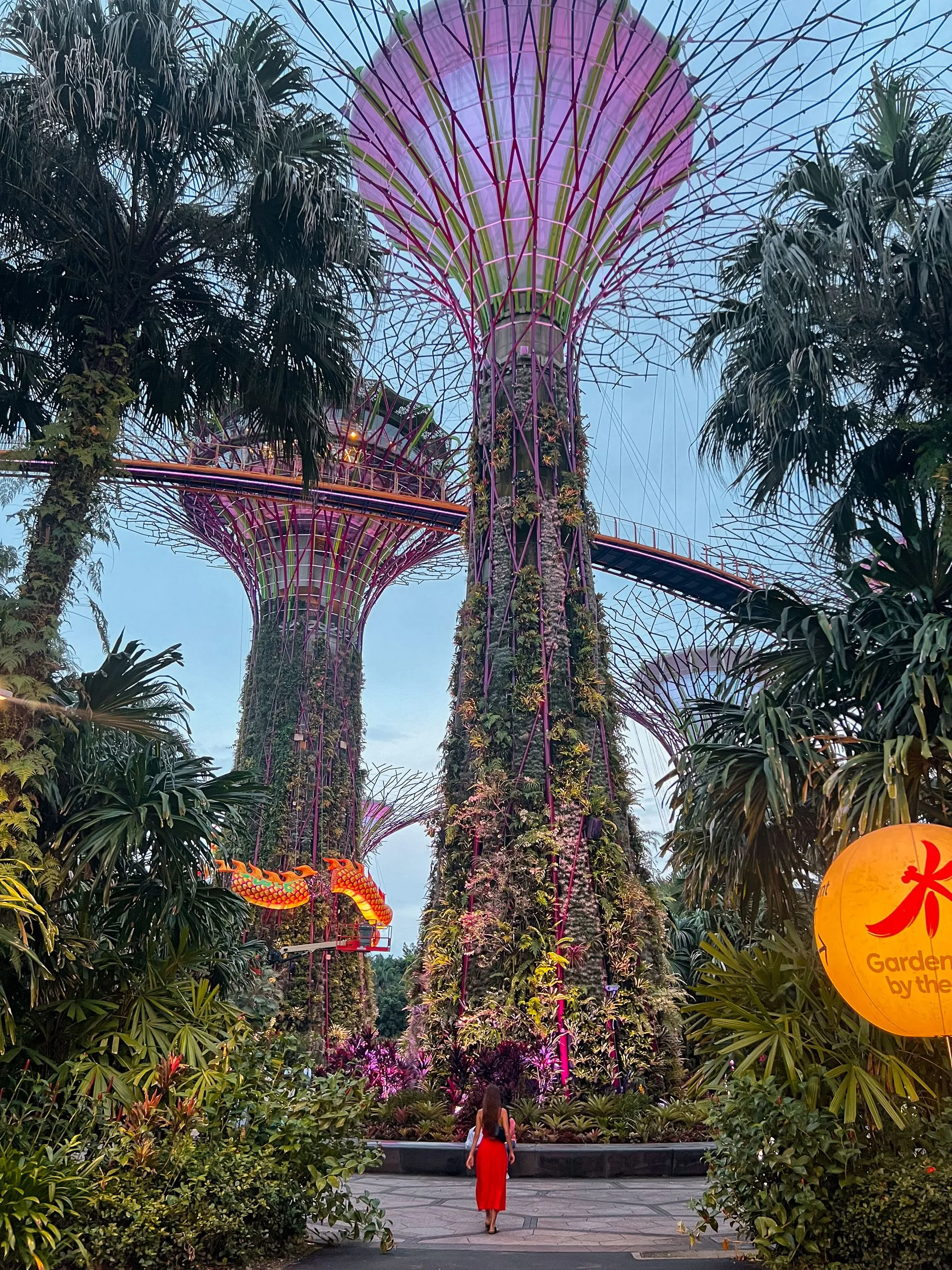 Frau steht vor den beleuchteten Supertrees in den Gardens by the Bay, Singapur, mit Drachenlaterne.