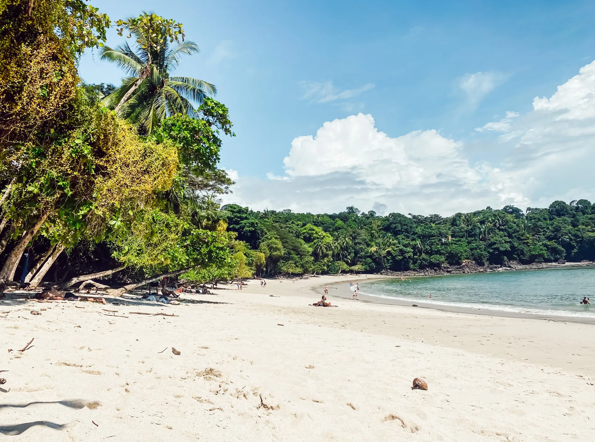 Weißer Sandstrand in Costa Rica mit Regenwald, Palmen und türkisblauem Meer im Manuel Antonio Nationalpark