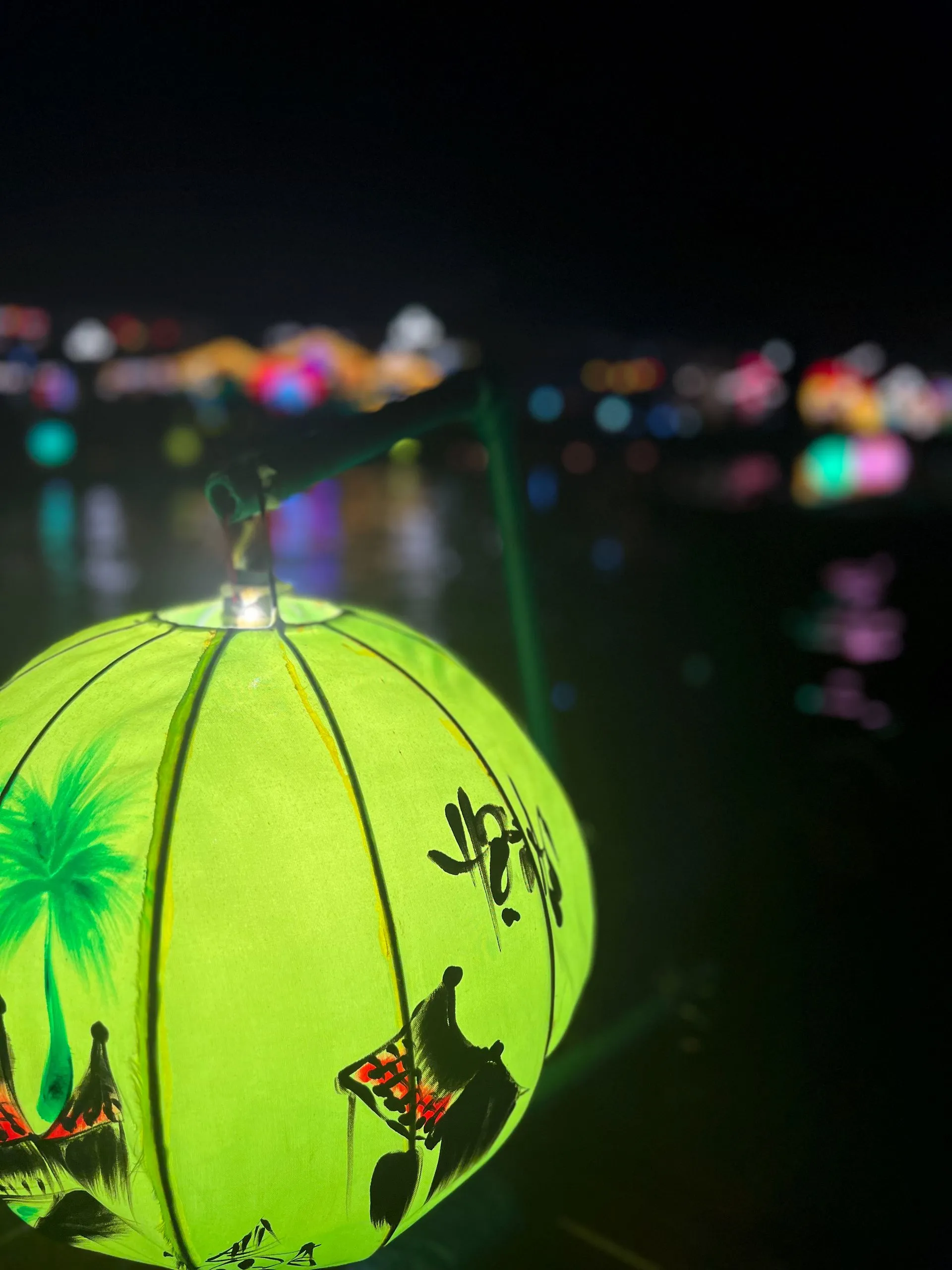 Laternen-Bootsfahrt bei Nacht, Hoi An
