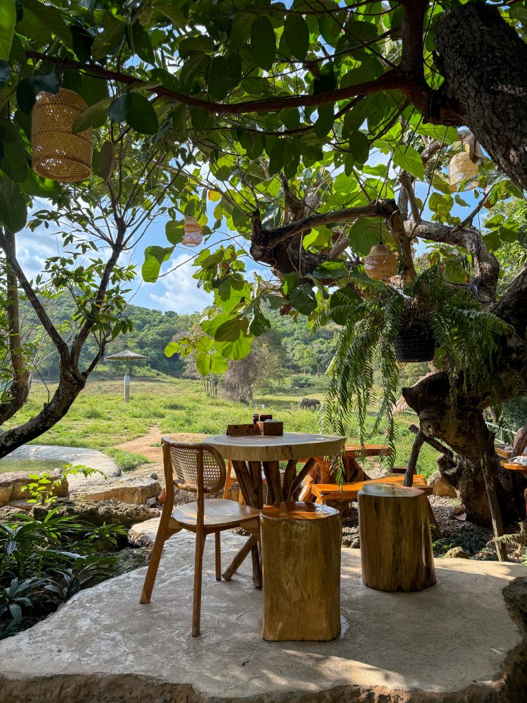 Elephant Café Experience