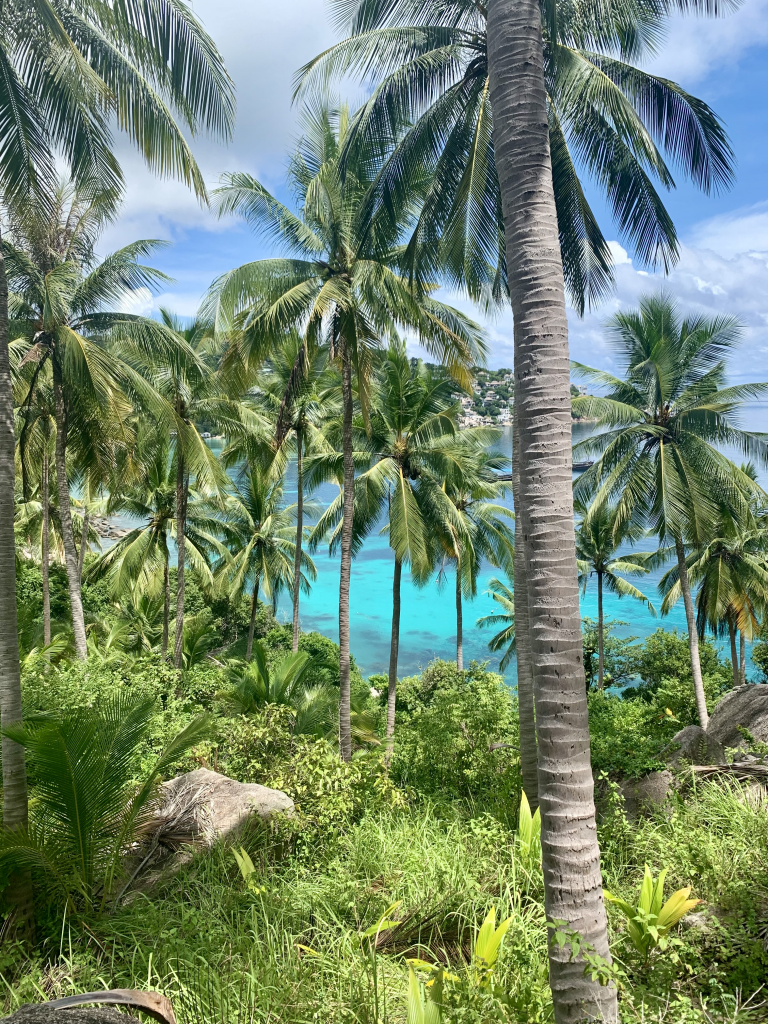 John-Suwan Aussichtspunkt Ko Tao