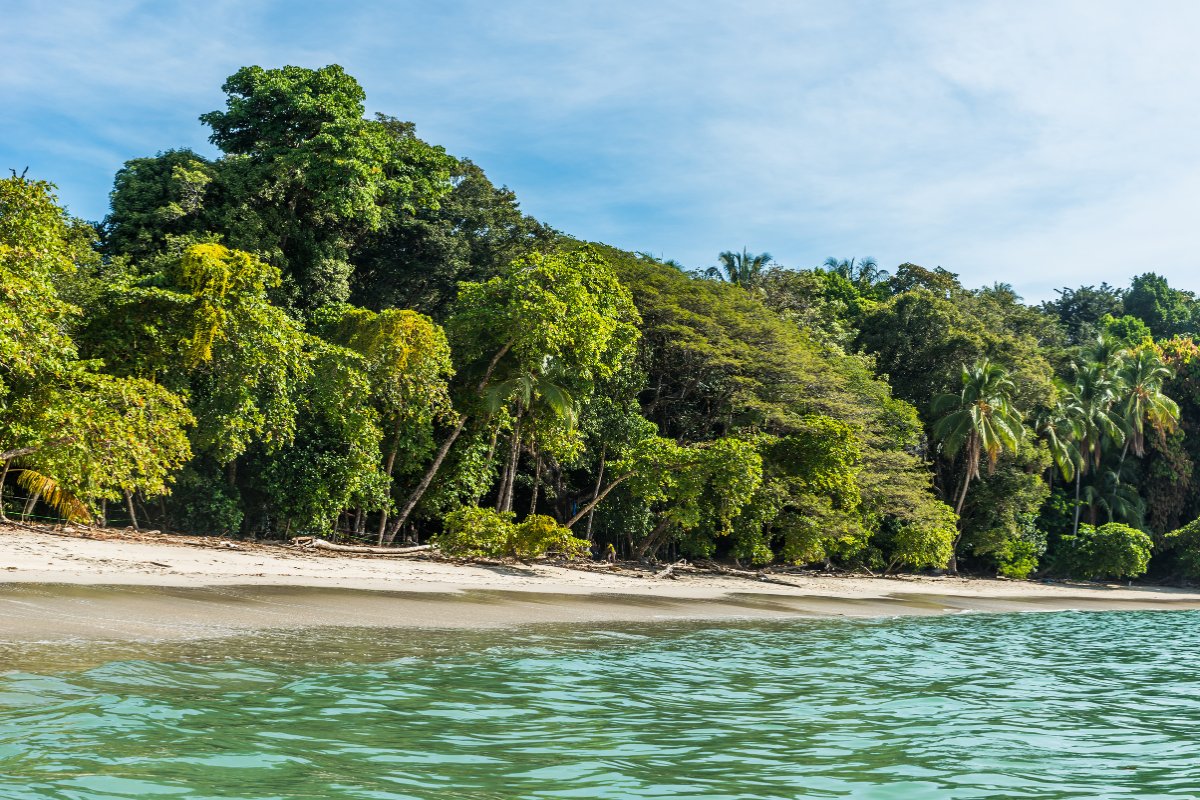 Costa Rica, Regenwald mit Nebelwald und Vulkanlandschaft