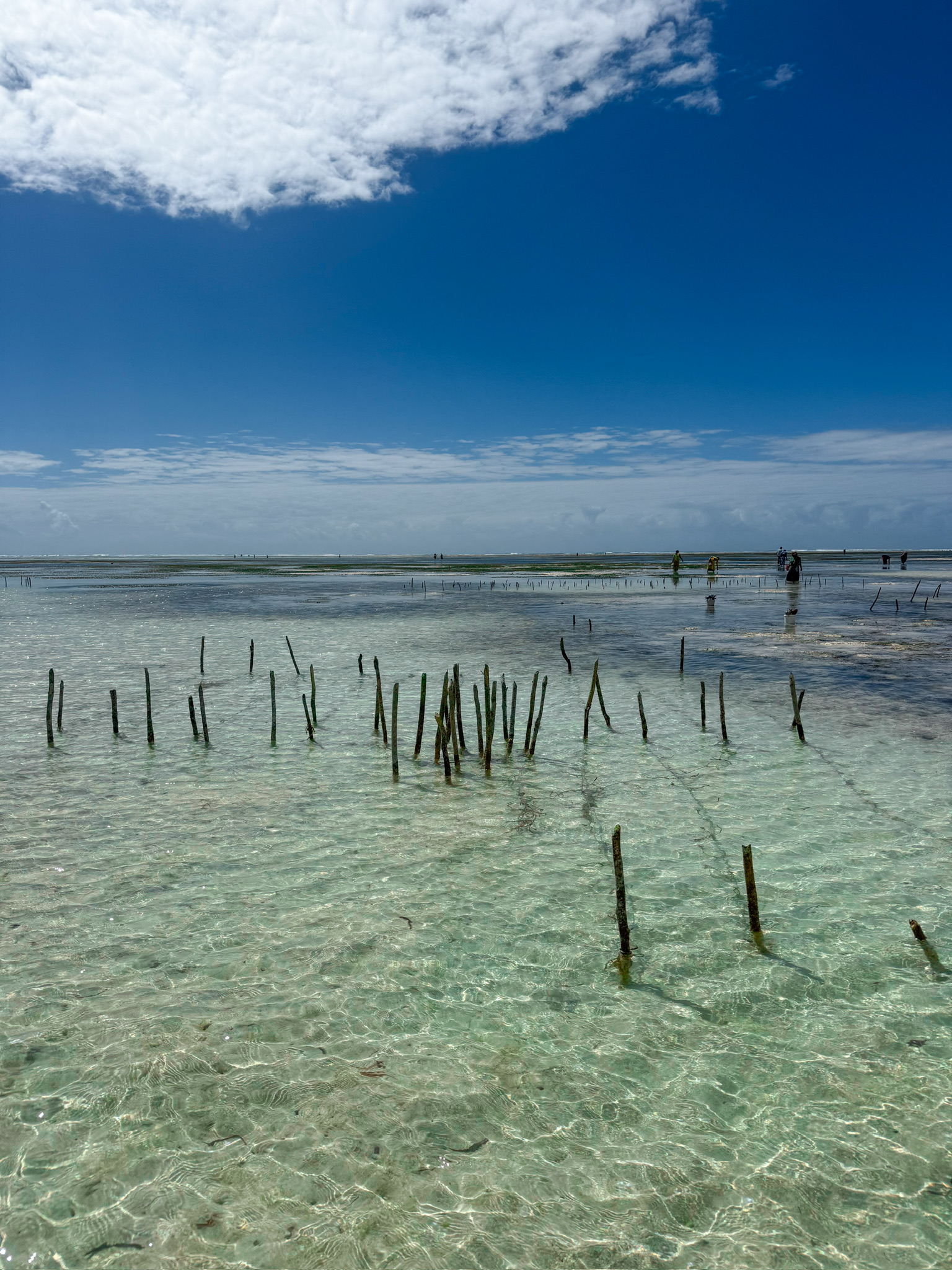 Kiwengwa Beach 
