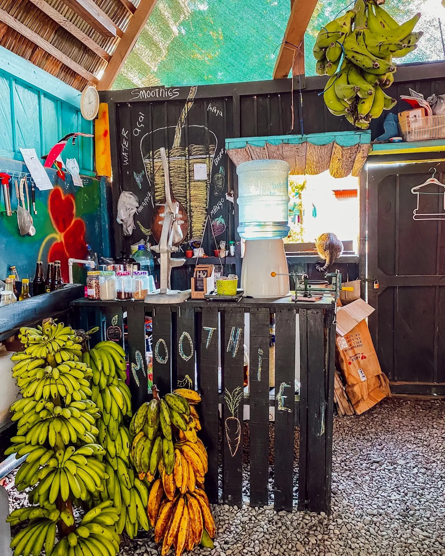 Kleiner Laden mit gesunden Snacks in Puerto Viejo