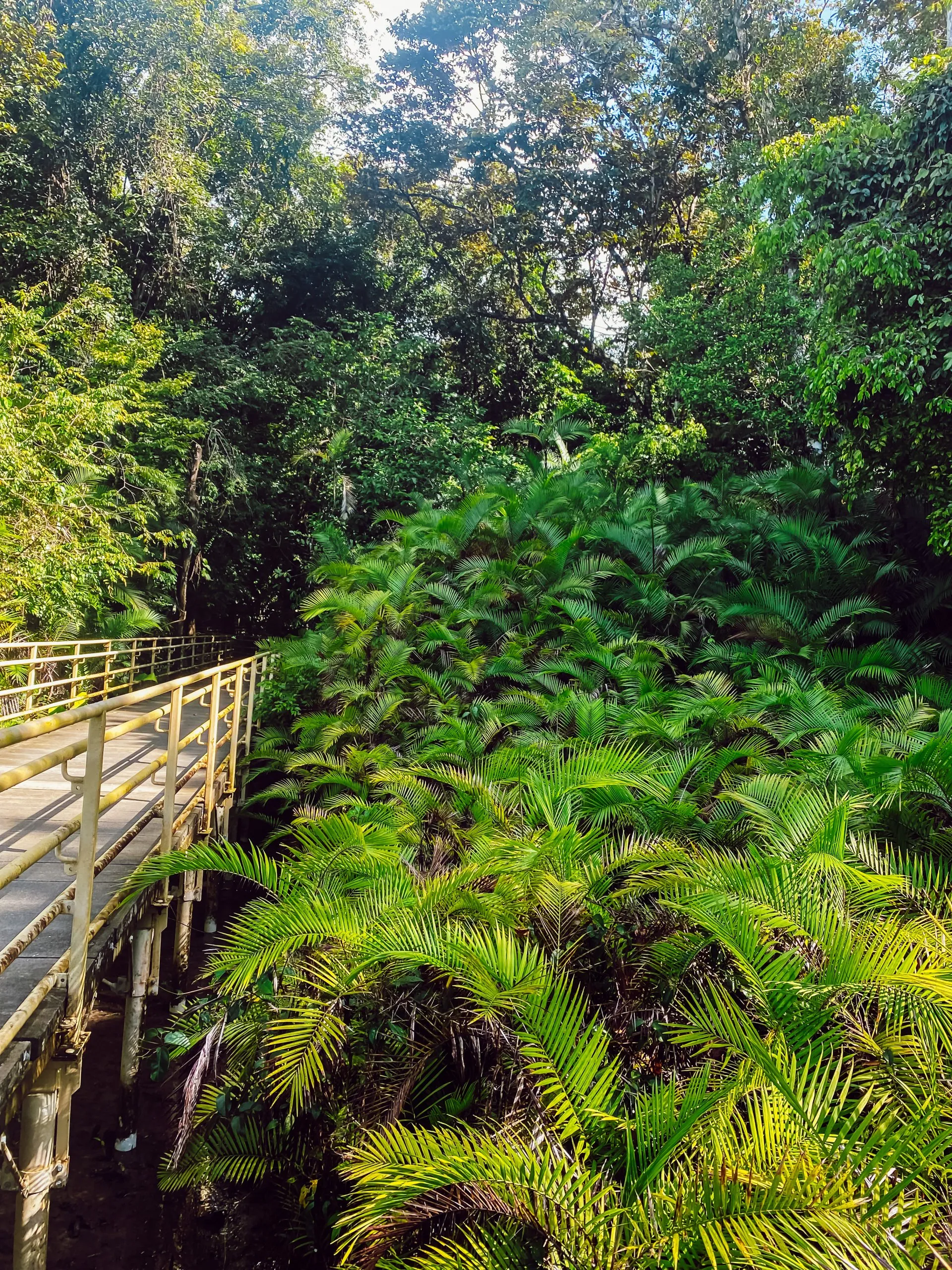 Regenwaldpfad im Manuel-Antonio-Nationalpark