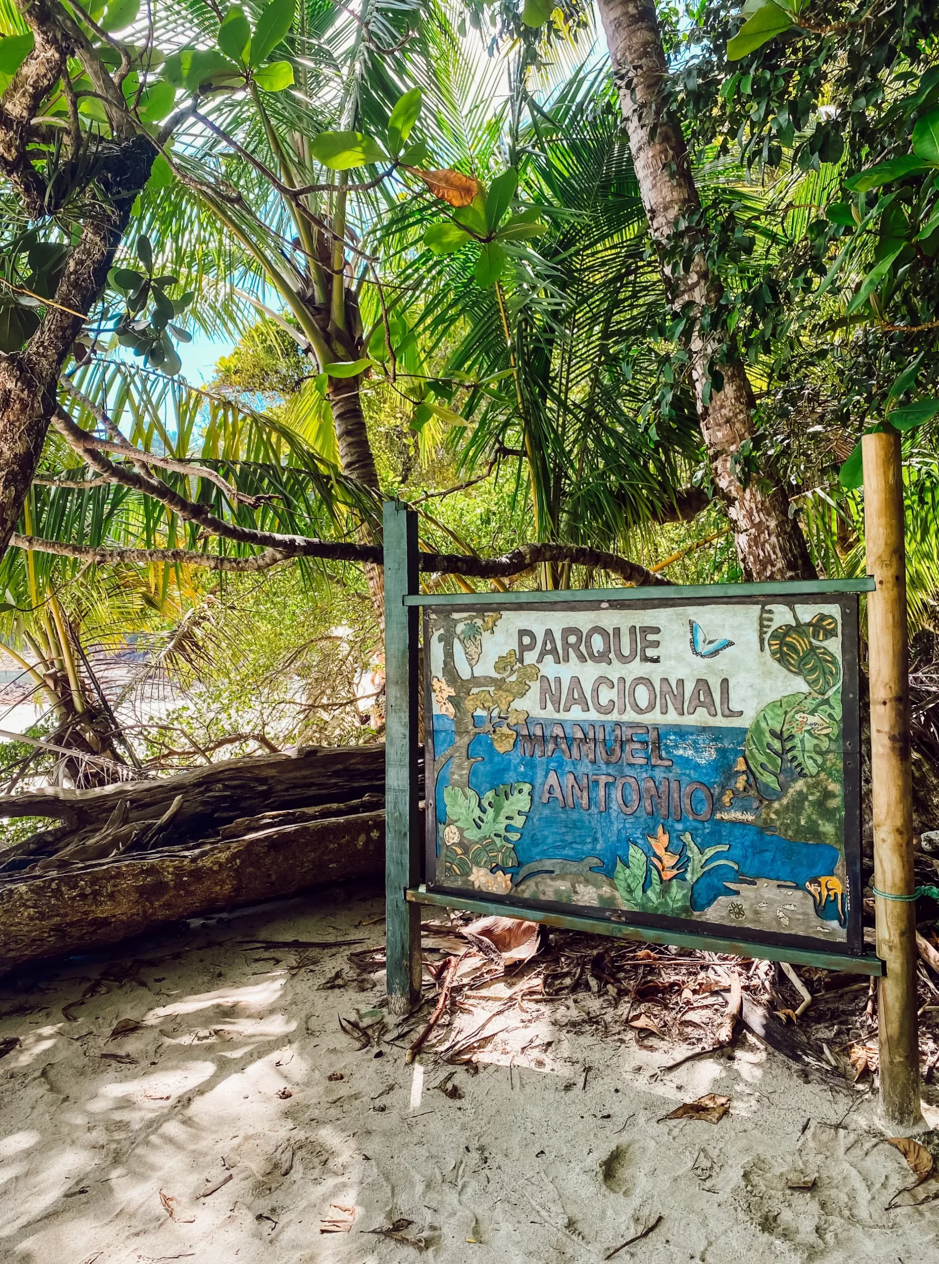 Regenwald im Manuel-Antonio-Nationalpark
