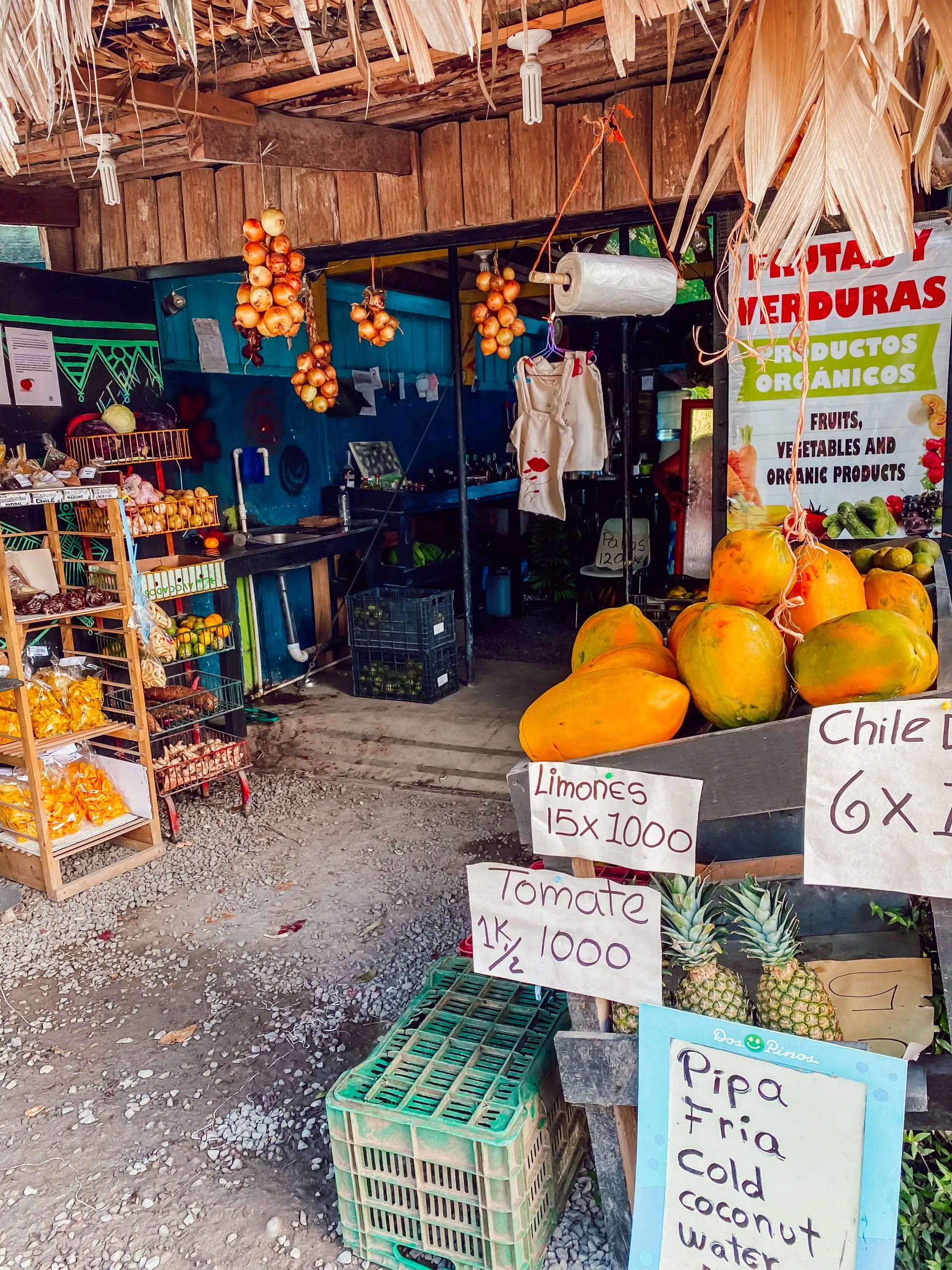 Frisch gepresste Säfte in Puerto Viejo