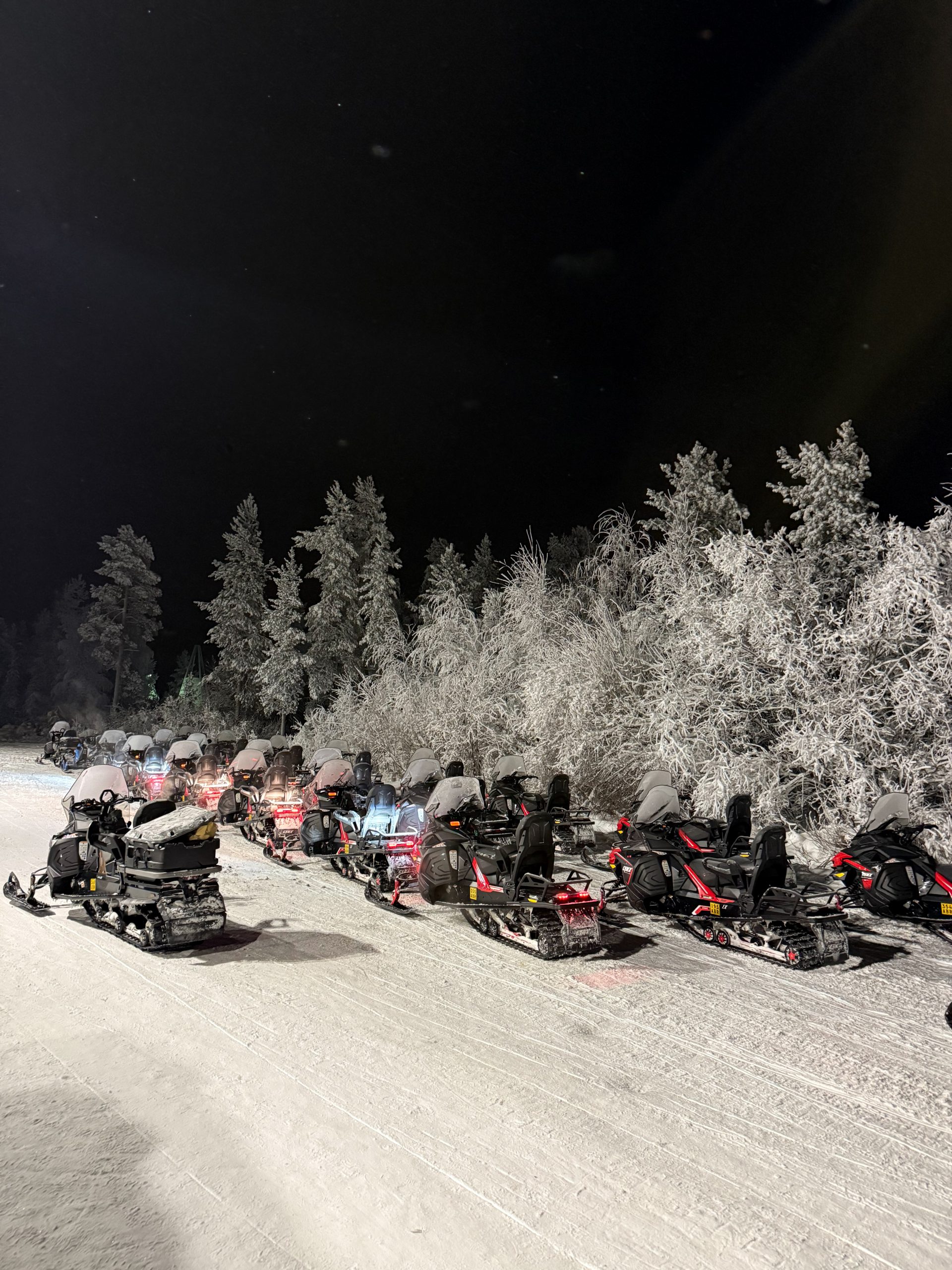 Arctic Aurora Chase mit dem Schneemobil, Rovaniemi