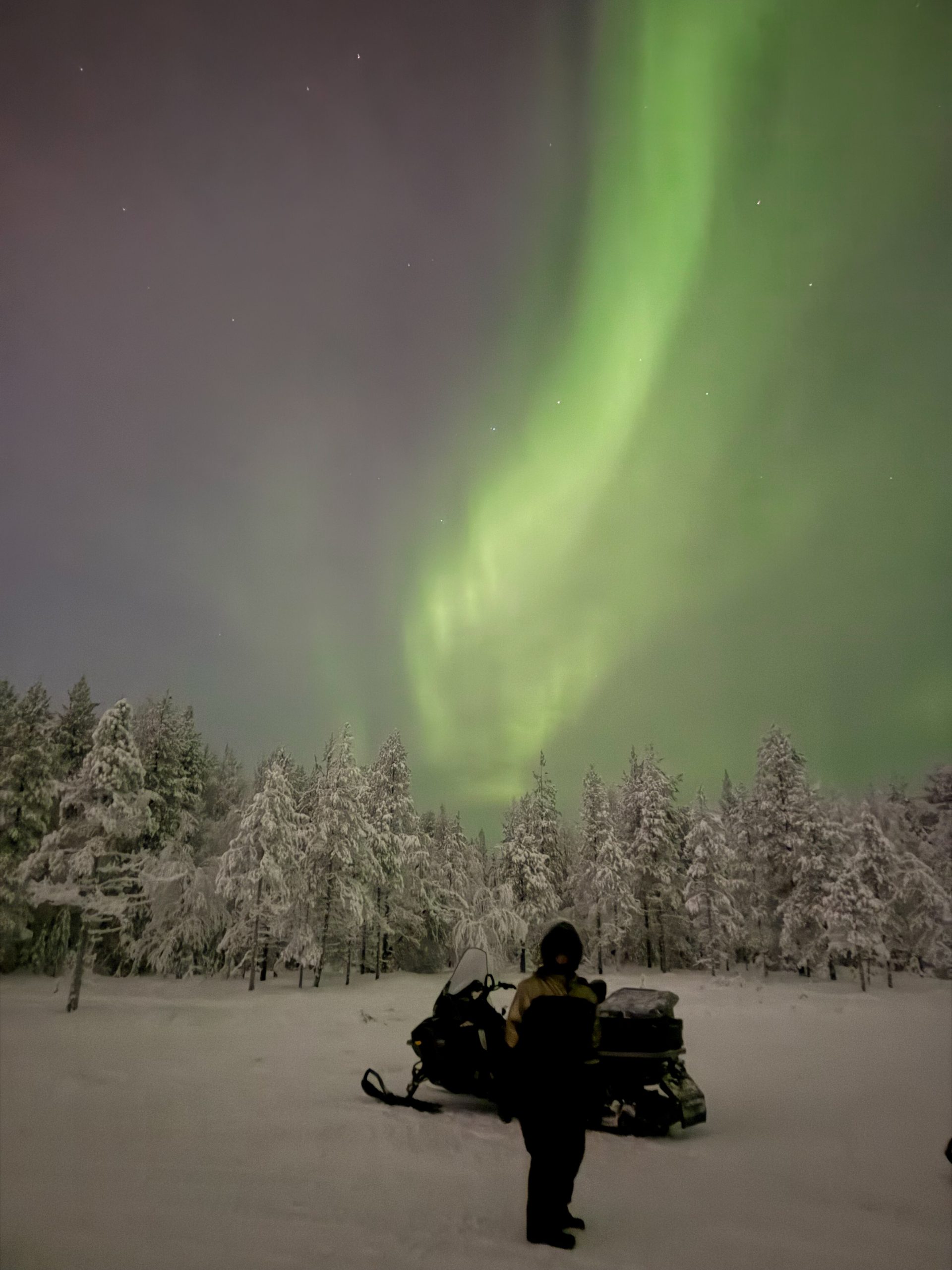 Arctic Aurora Chase mit dem Schneemobil, Rovaniemi
