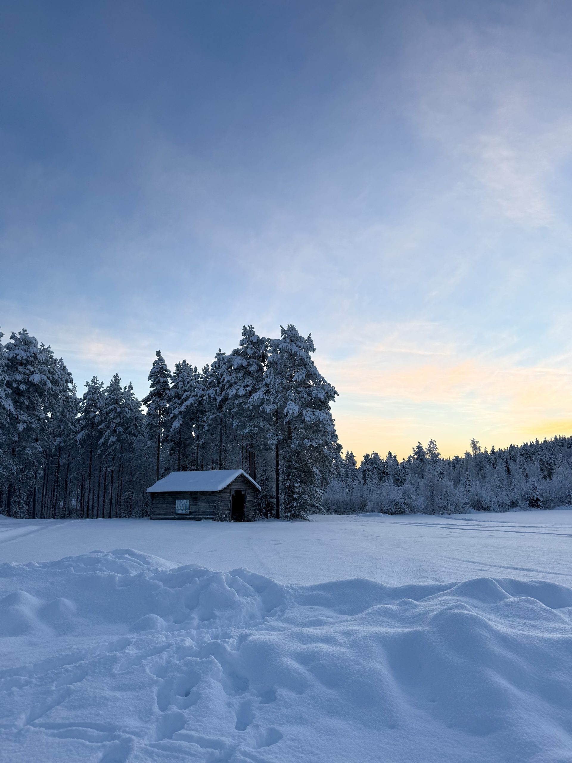 Husky Self Drive Tour, Rovaniemi
