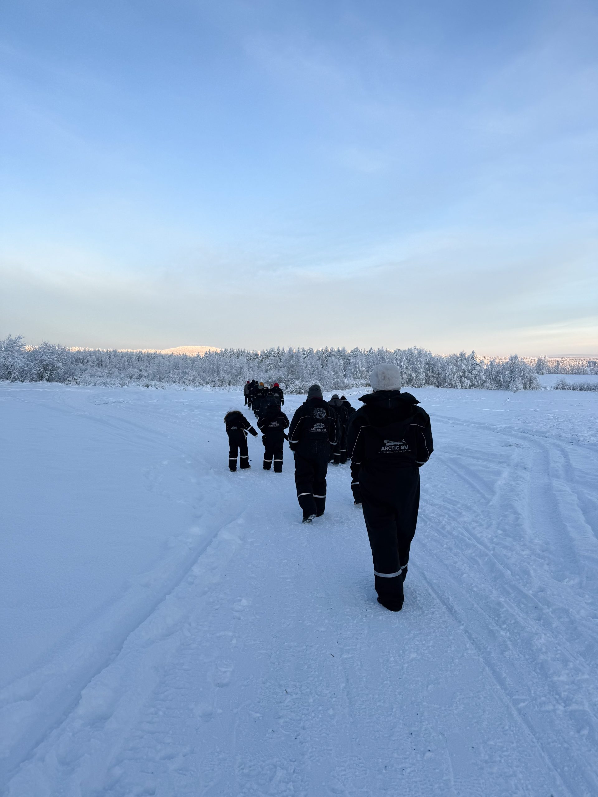 Husky Self Drive Tour, Rovaniemi
