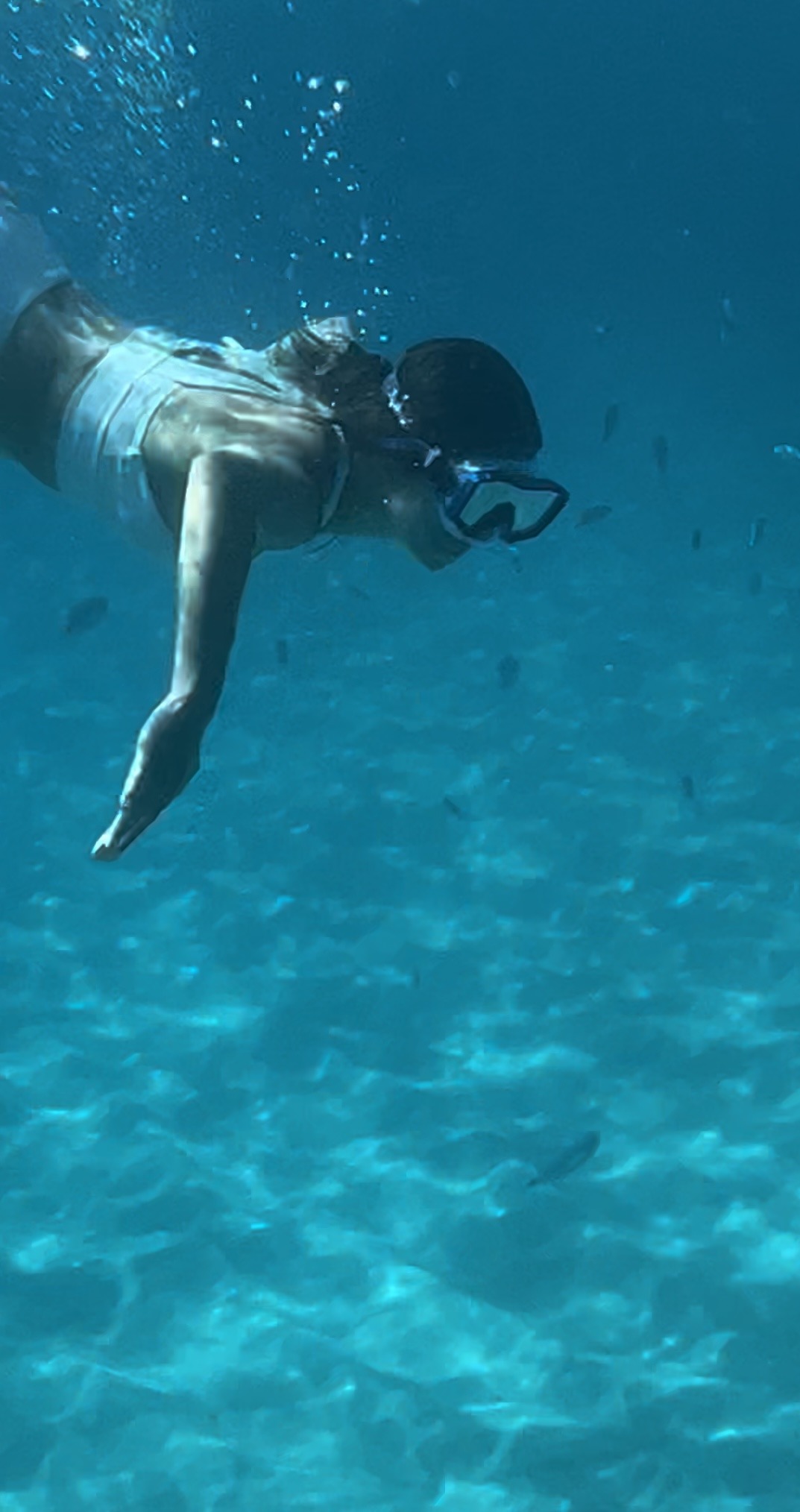 Bootsausflug und Schnorcheln, Tropea
