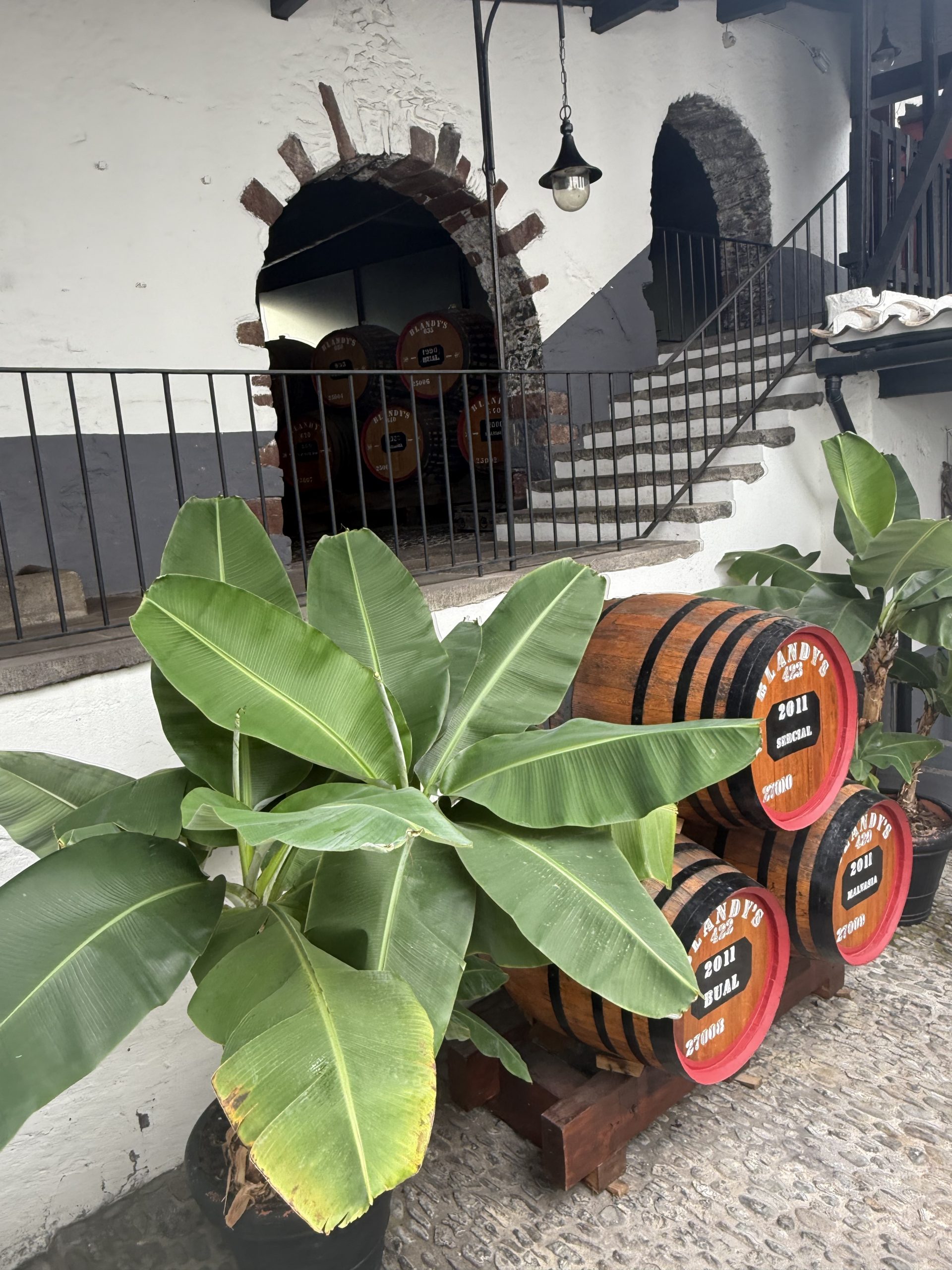Weinlager bei Blandy's, Funchal