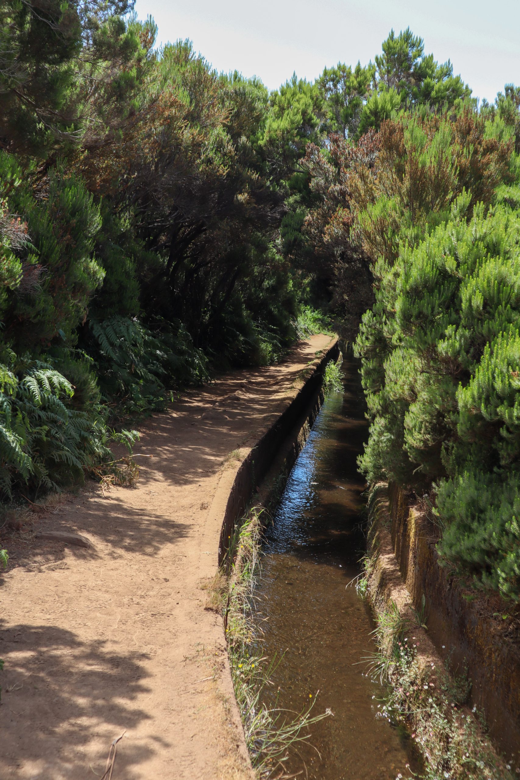 Levada do Alecrim im Naturschutzgebiet Rabaçal