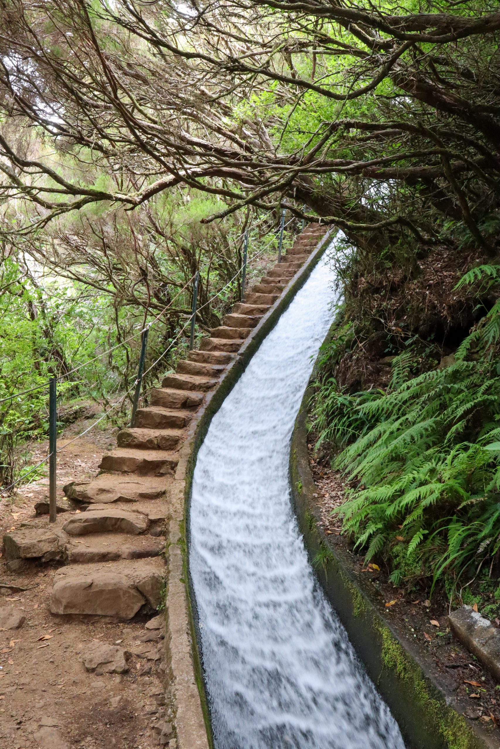 Risco Wasserfall, Rabaçal