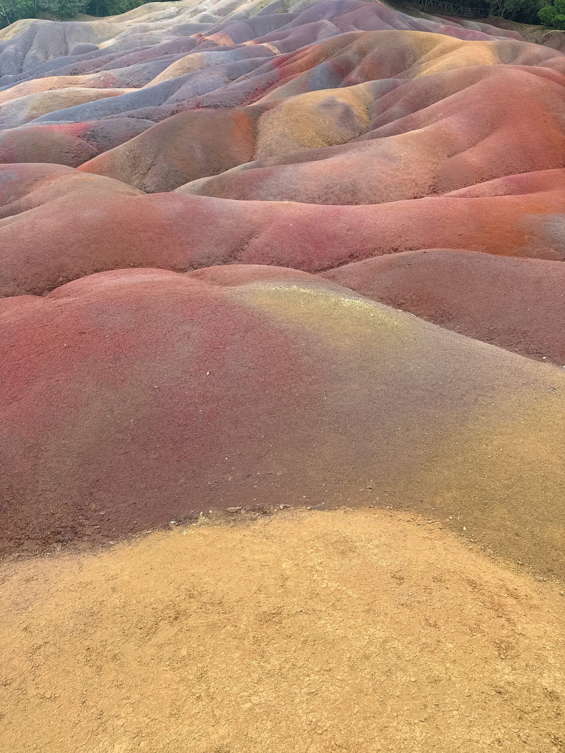 Siebenfarbige Erde, Chamarel, Mauritius