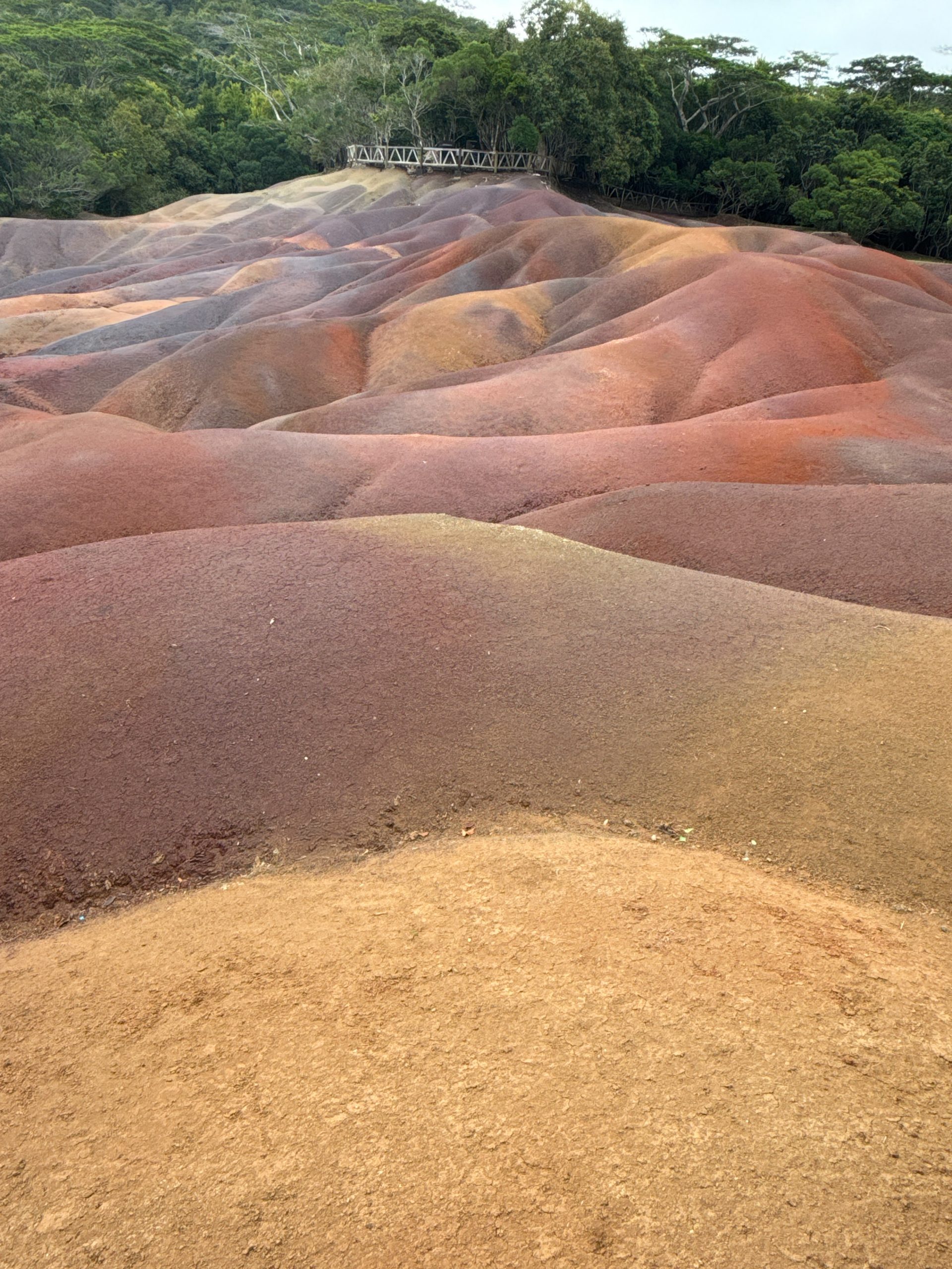 Siebenfarbige Erde, Chamarel, Mauritius