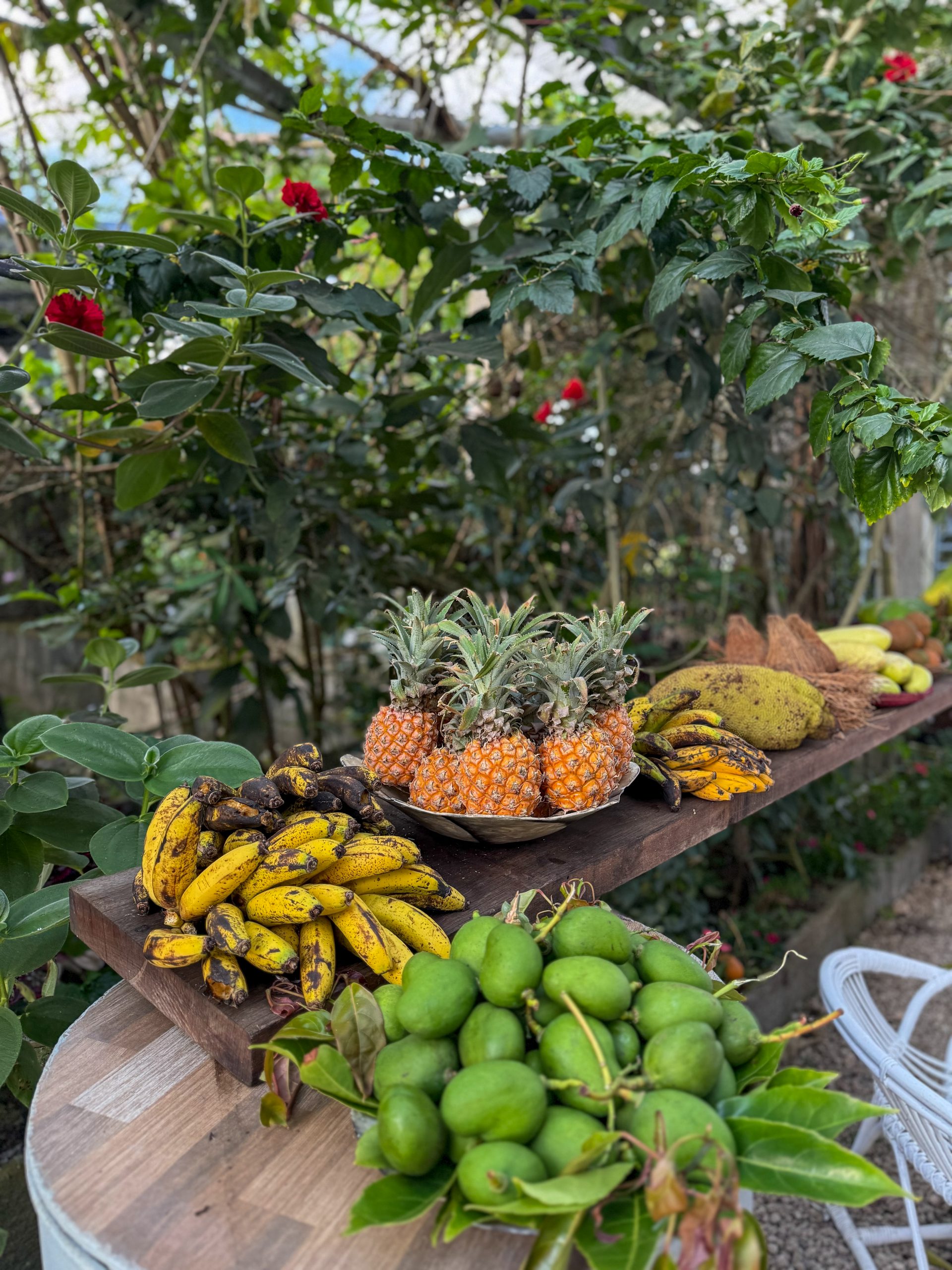 Vanilleplantage St. Julien D'Hotman, Mauritius