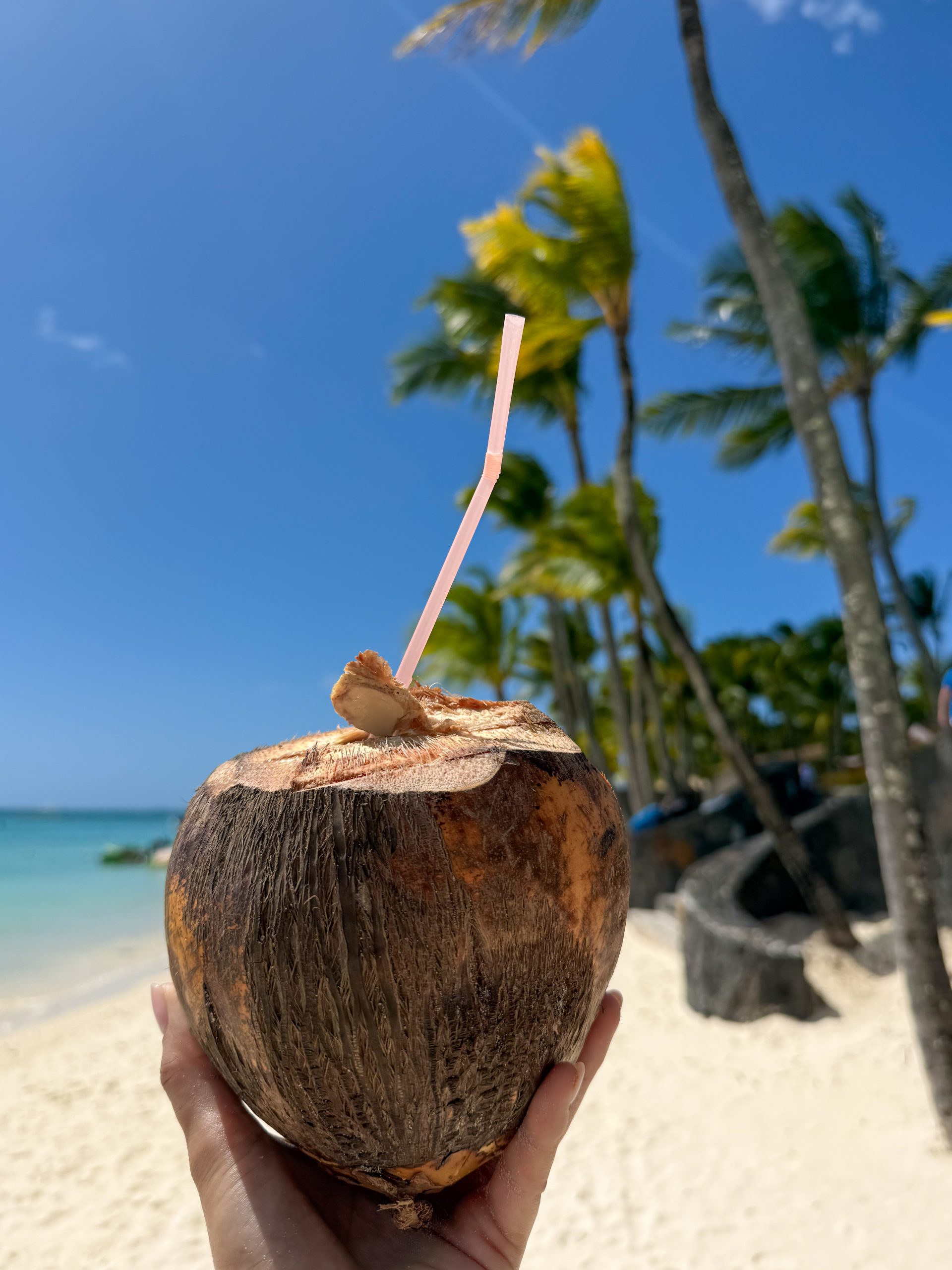 Trou aux Biches, Mauritius