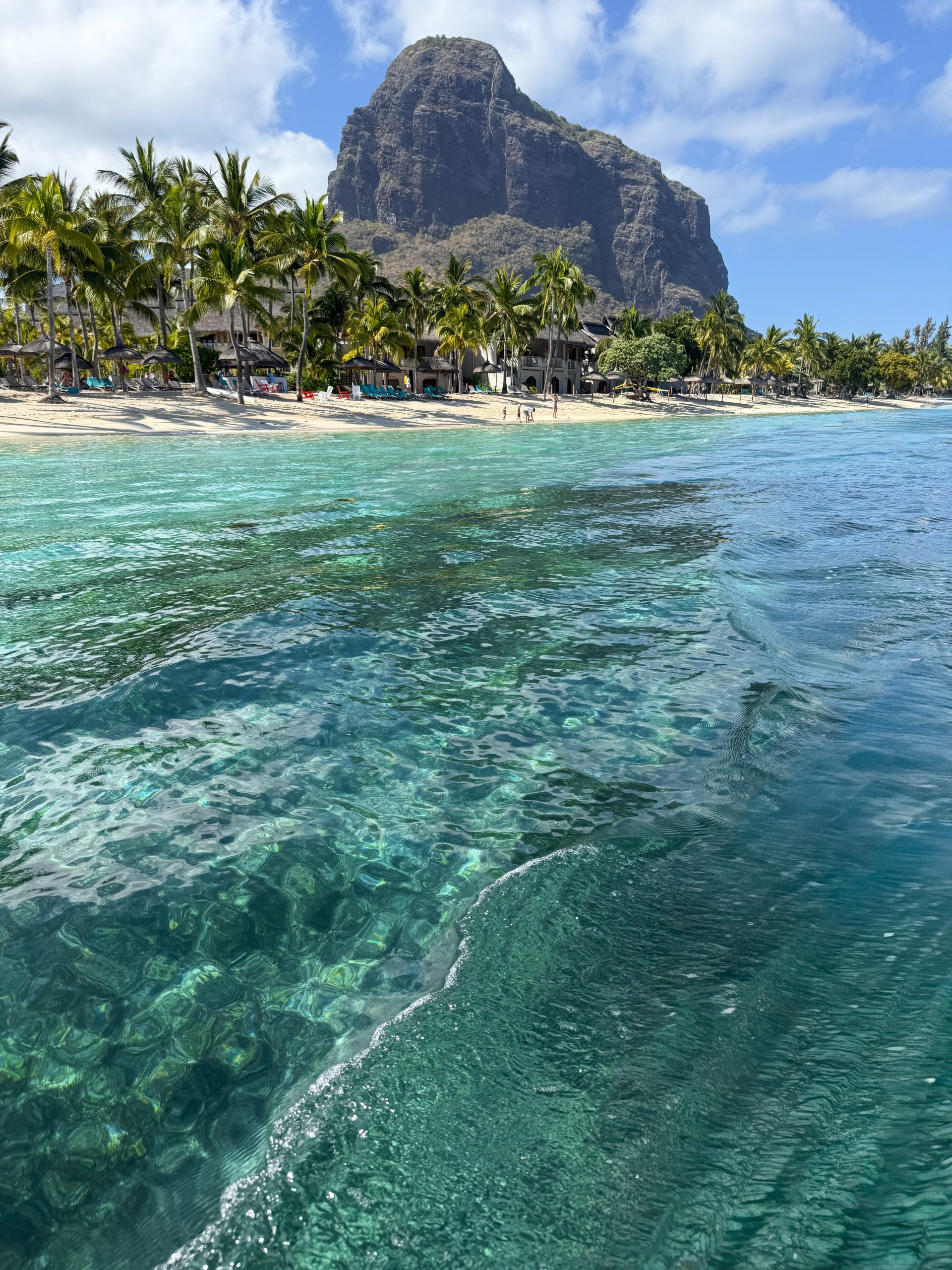 Delfin-Tour mit Schnorcheln, Crystal Rock und Île aux Bénitiers, Mauritius