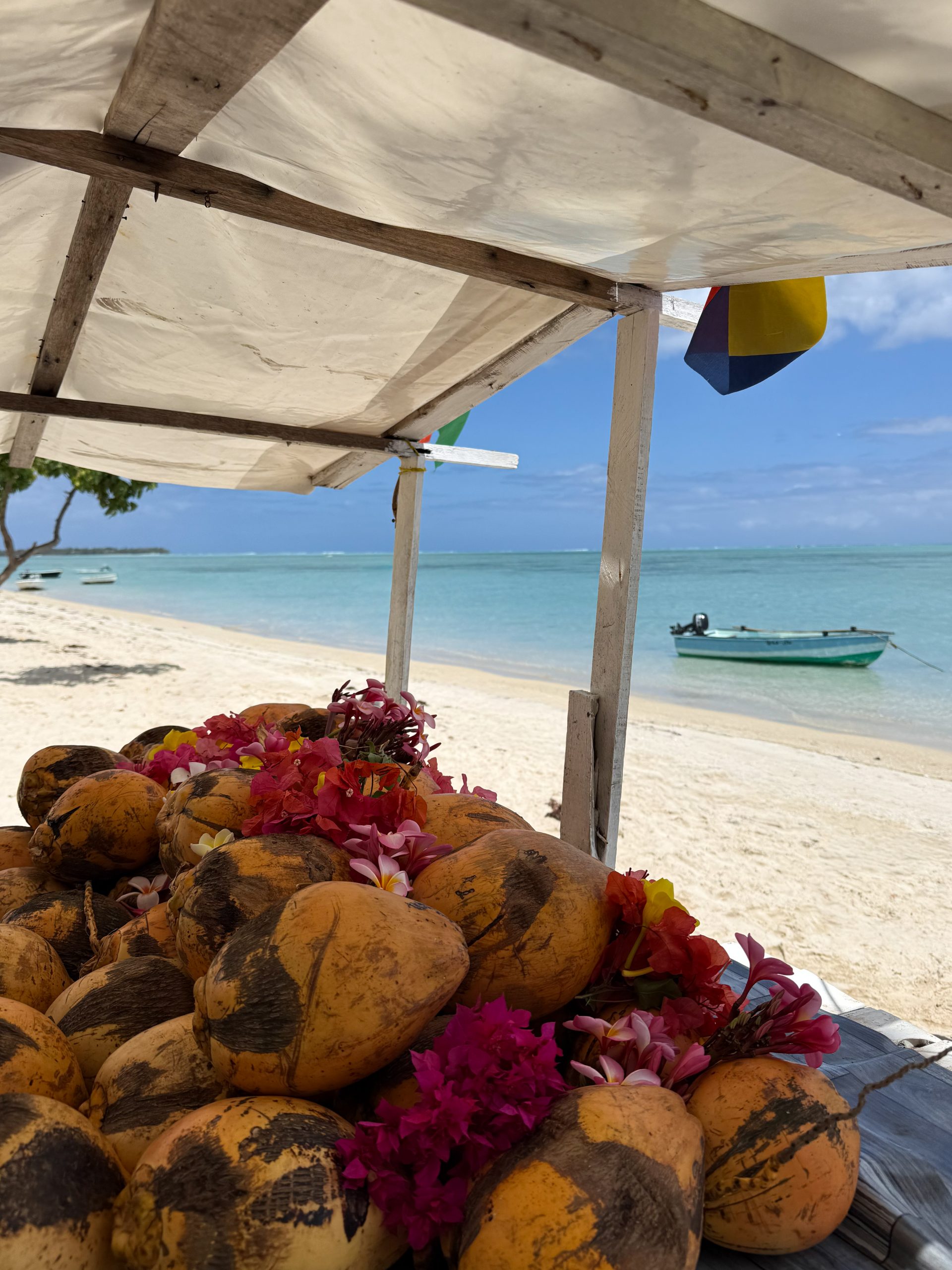 Delfin-Tour mit Schnorcheln, Crystal Rock und Île aux Bénitiers, Mauritius