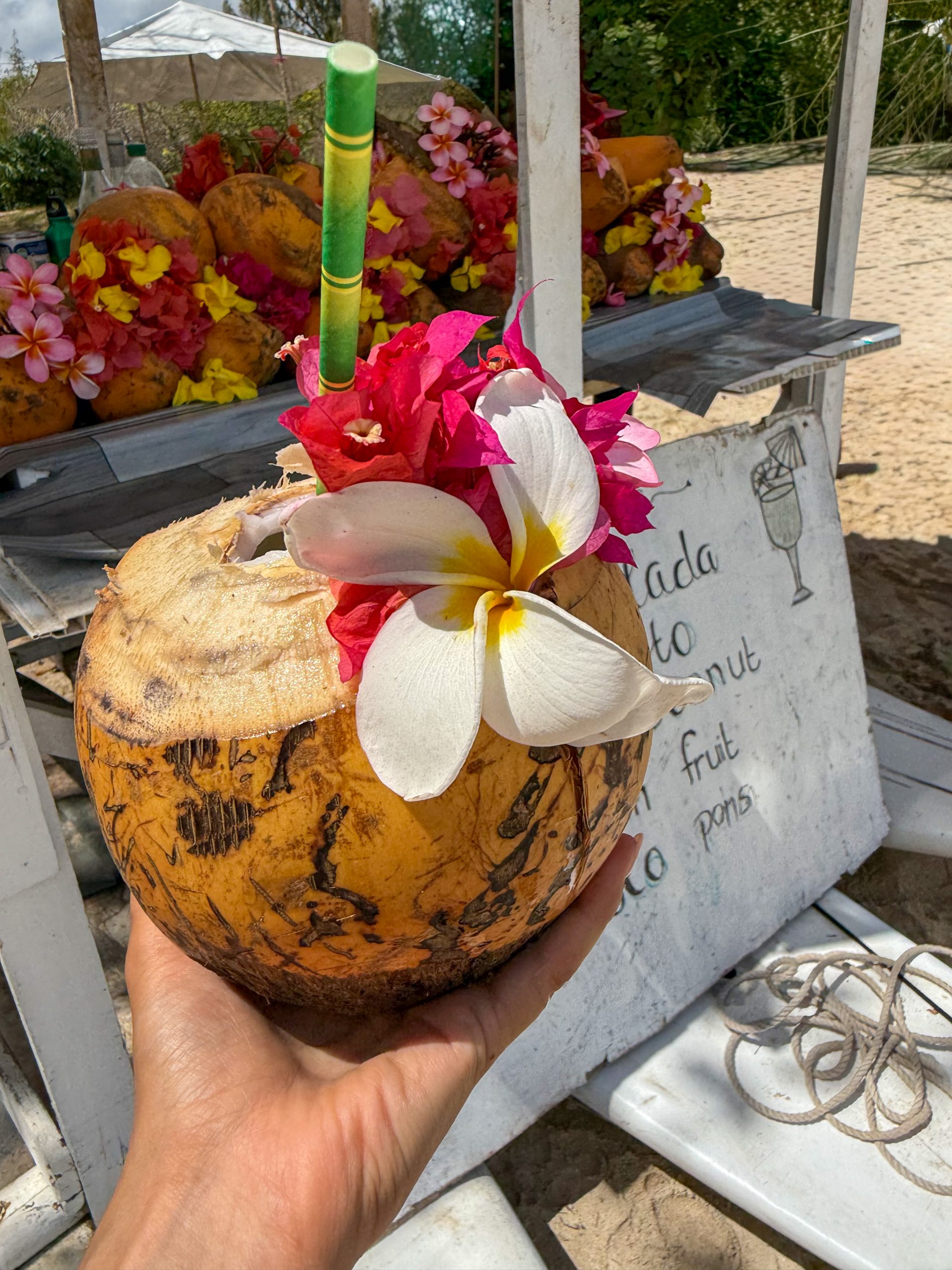 Delfin-Tour mit Schnorcheln, Crystal Rock und Île aux Bénitiers, Mauritius