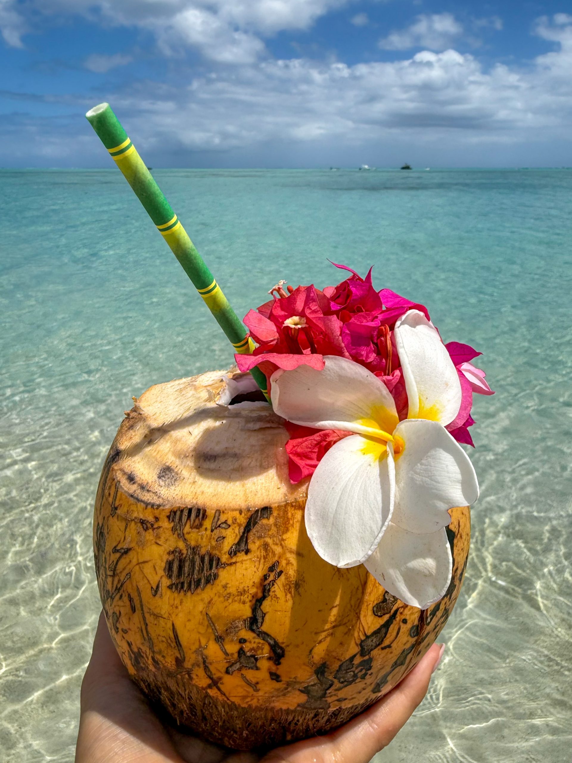 Delfin-Tour mit Schnorcheln, Crystal Rock und Île aux Bénitiers, Mauritius