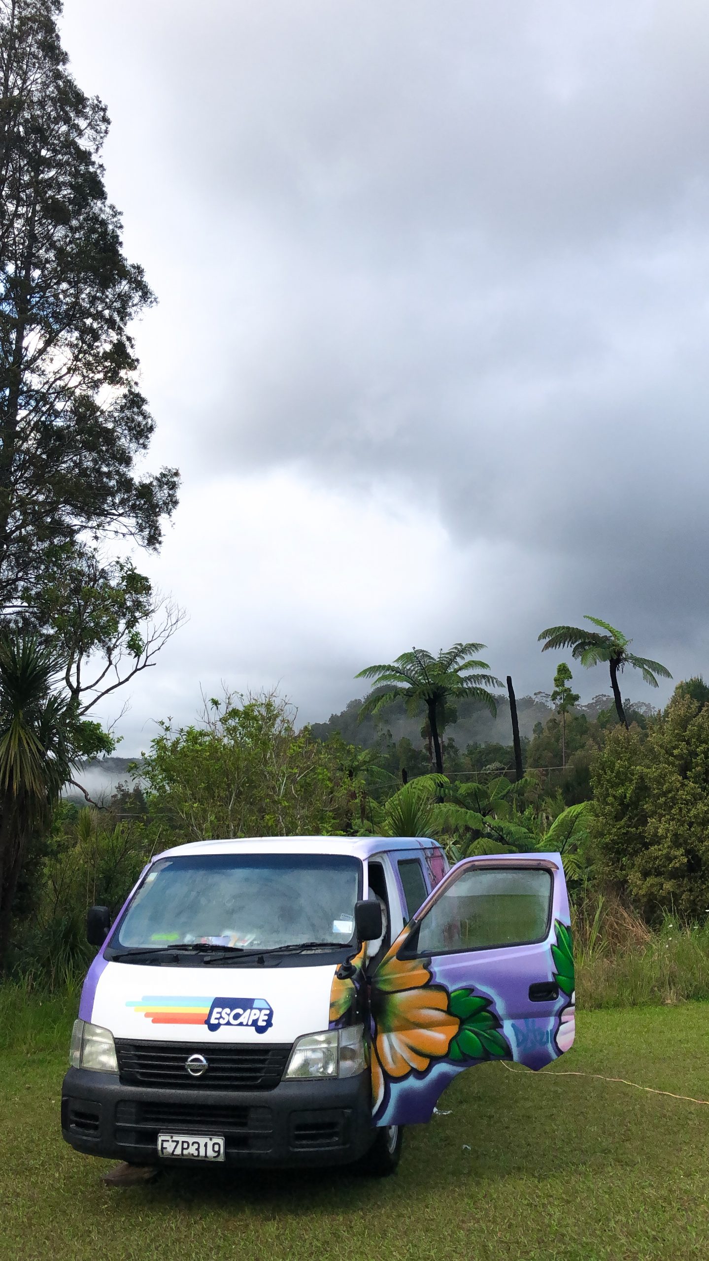 Waipoua Campground im Kauriwald