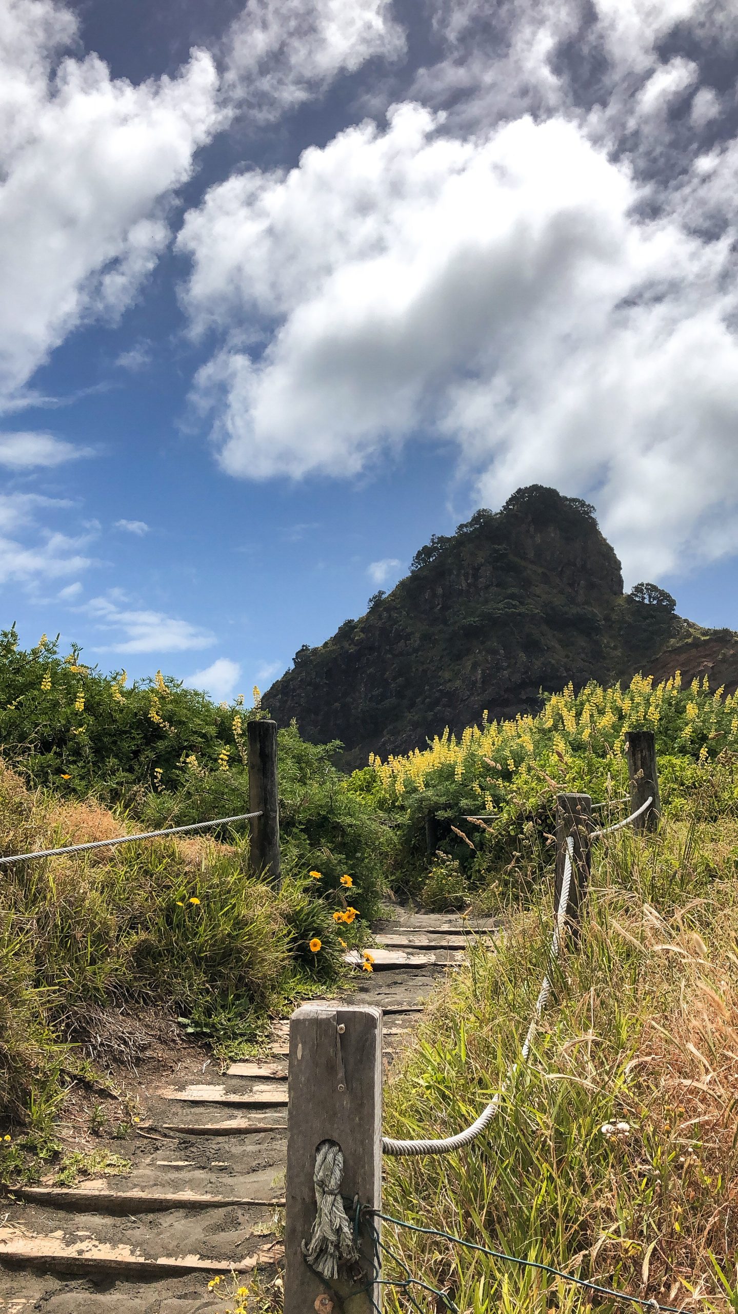 Brandung am Piha Beach