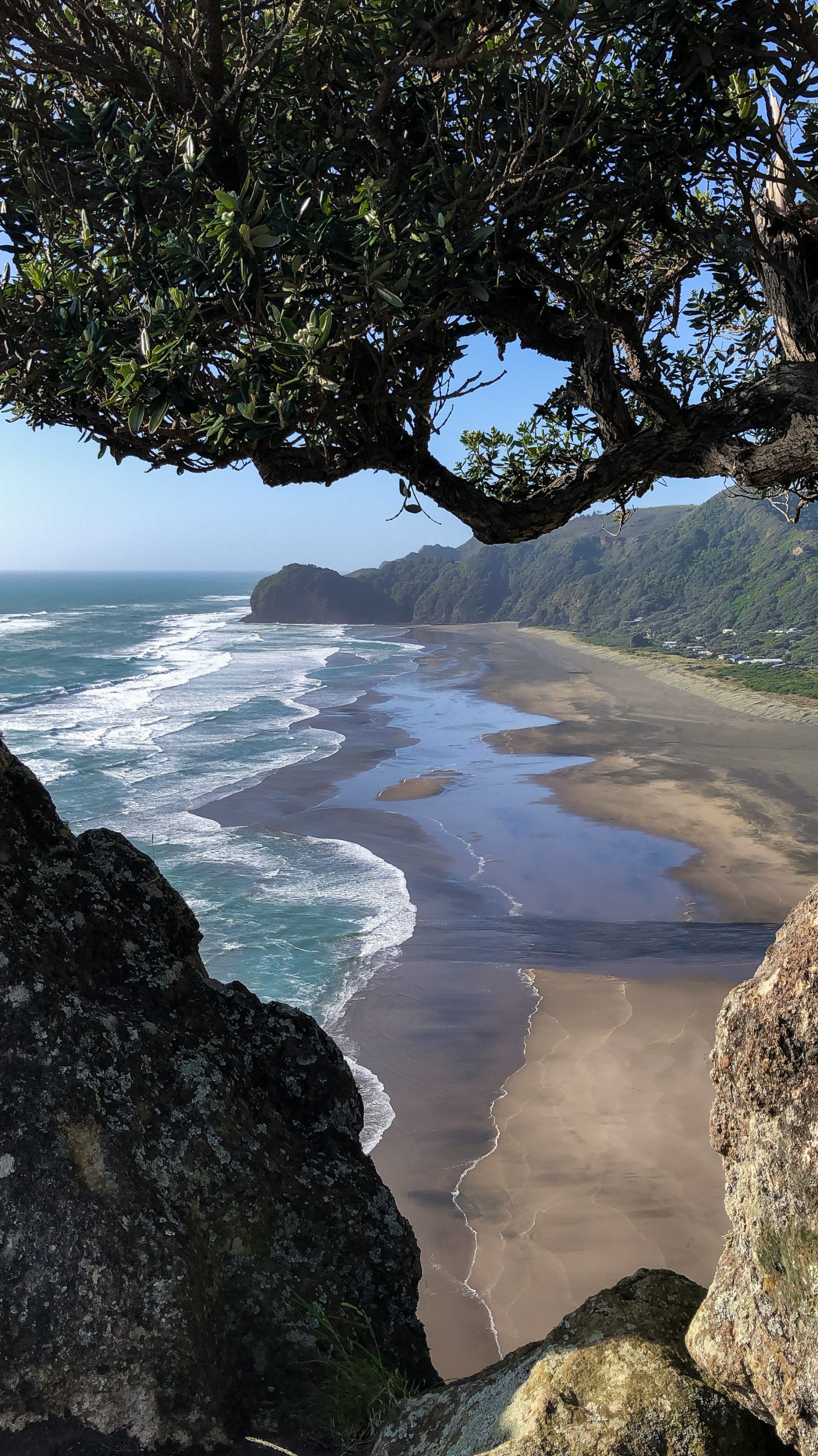 Lion Rock, das Wahrzeichen von Piha