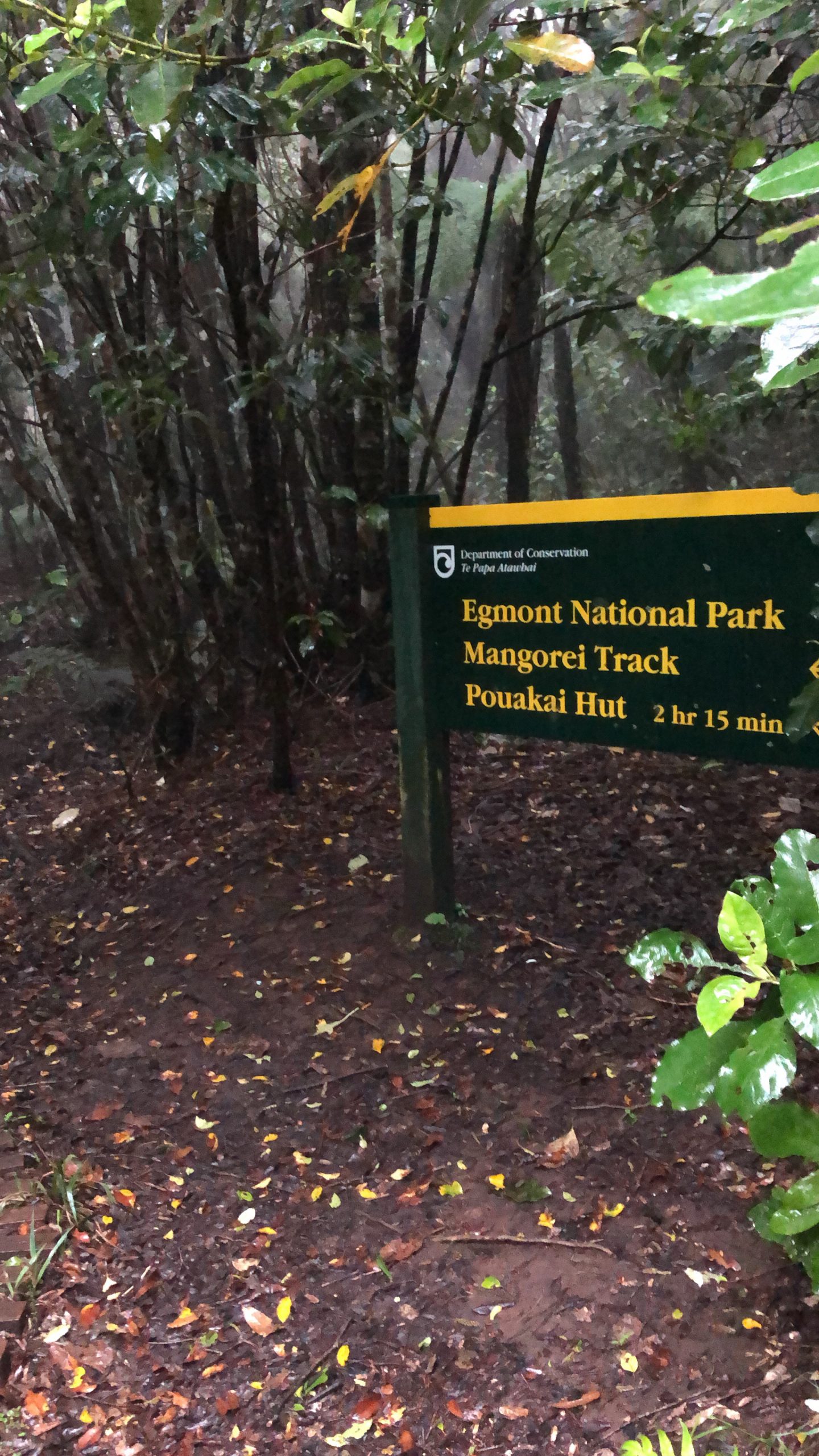 Blick auf den Mount Taranaki im Egmont Nationalpark