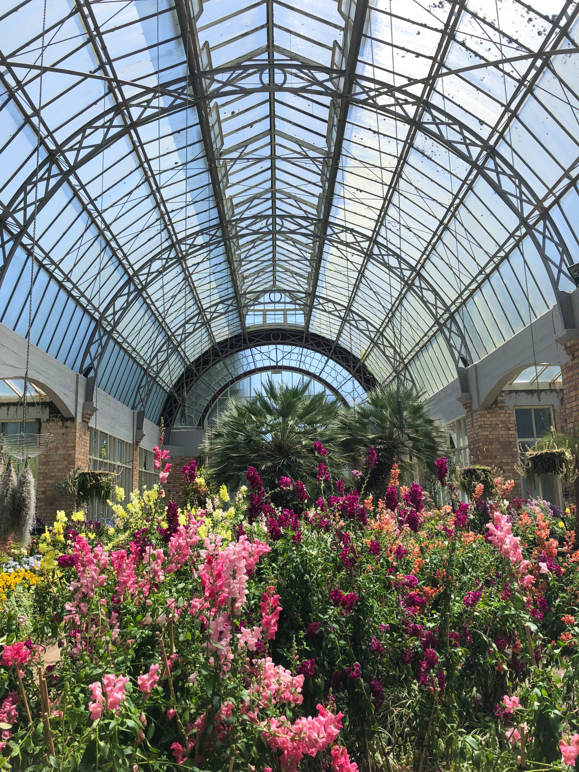 Historisches Gewächshaus der Domain Wintergardens
