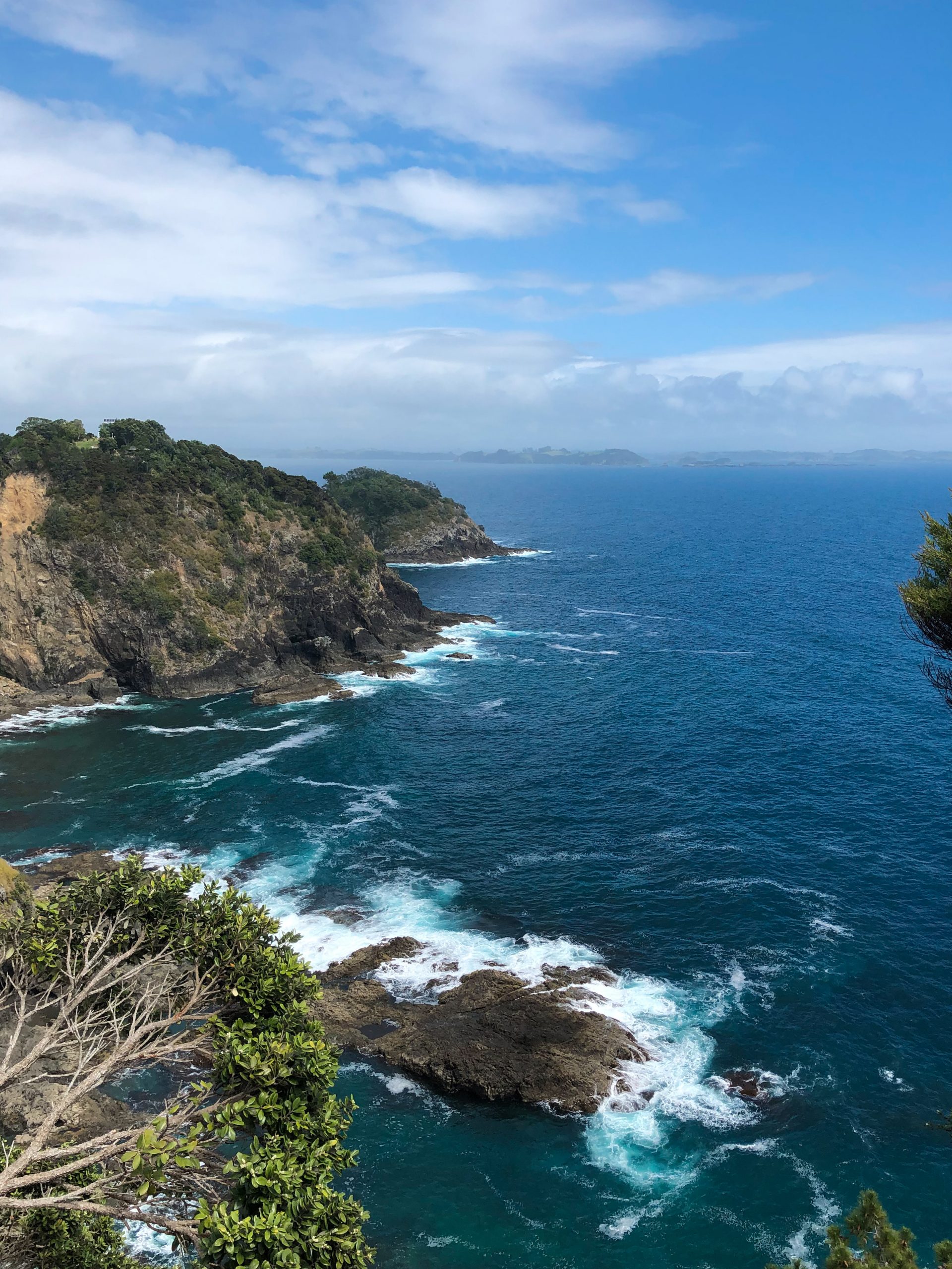 Aussicht auf Roberton Island während der Bootstour